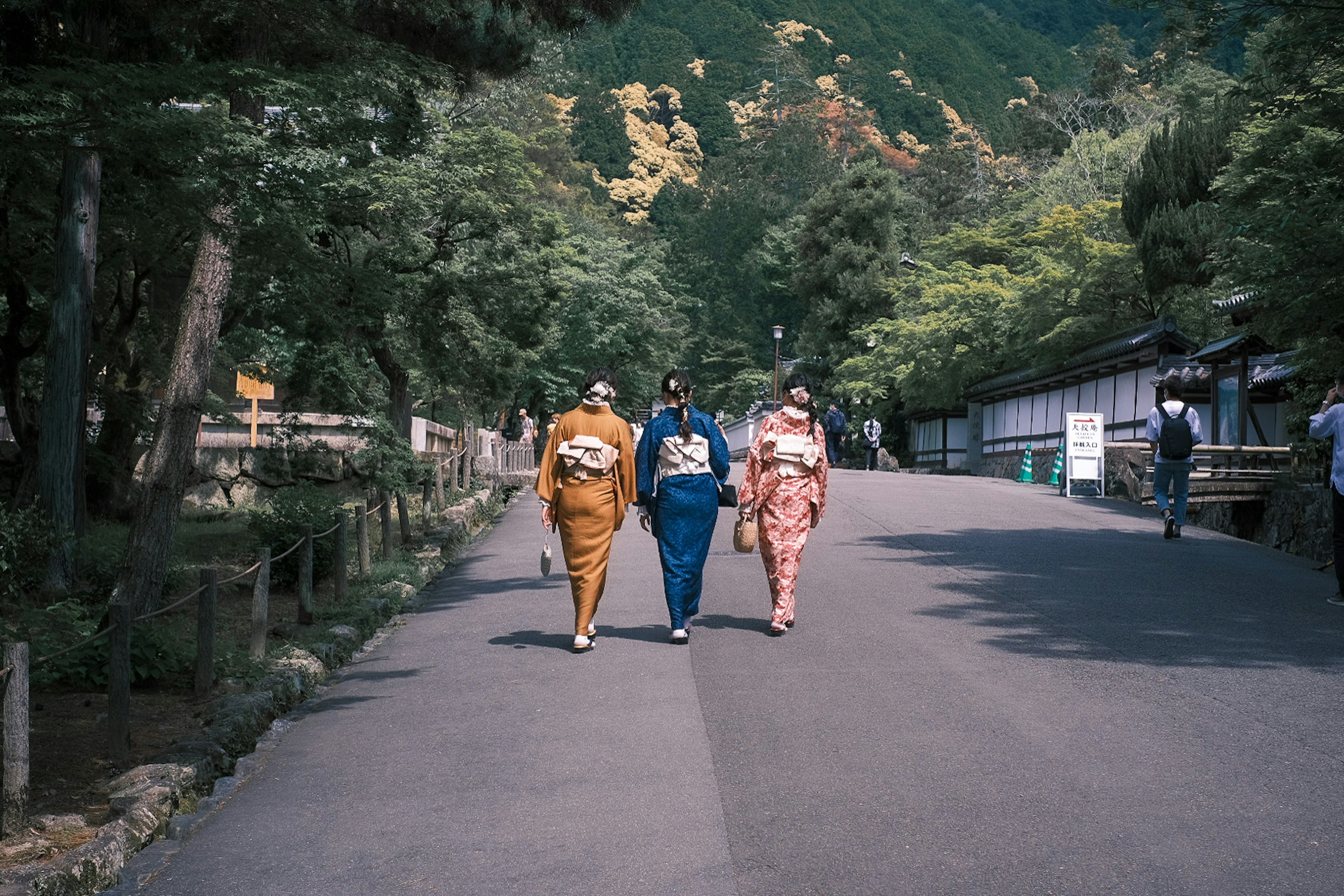 着物を着た三人の女性が静かな道を歩いている風景