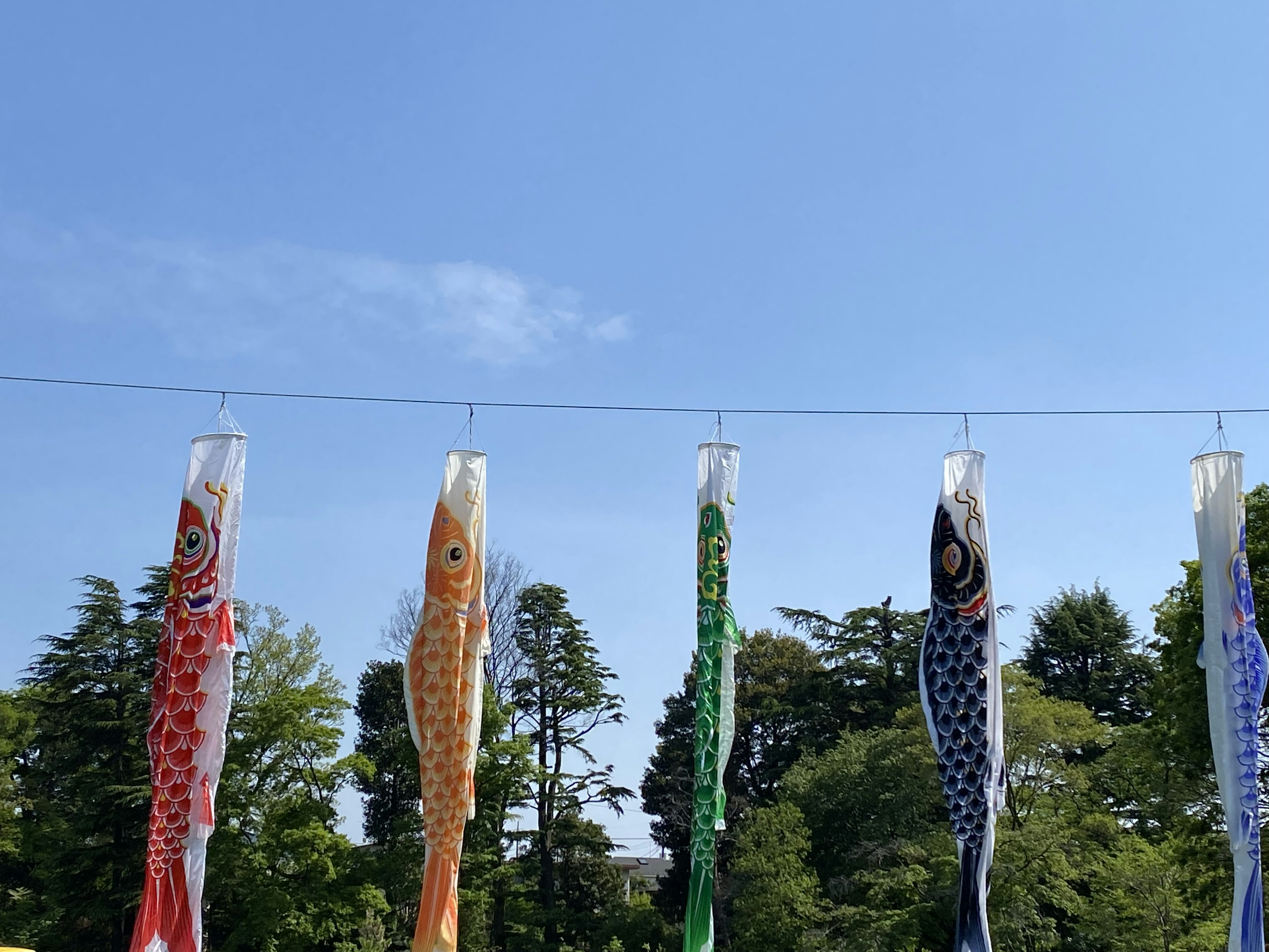 Des koi nobori colorés suspendus sous un ciel bleu