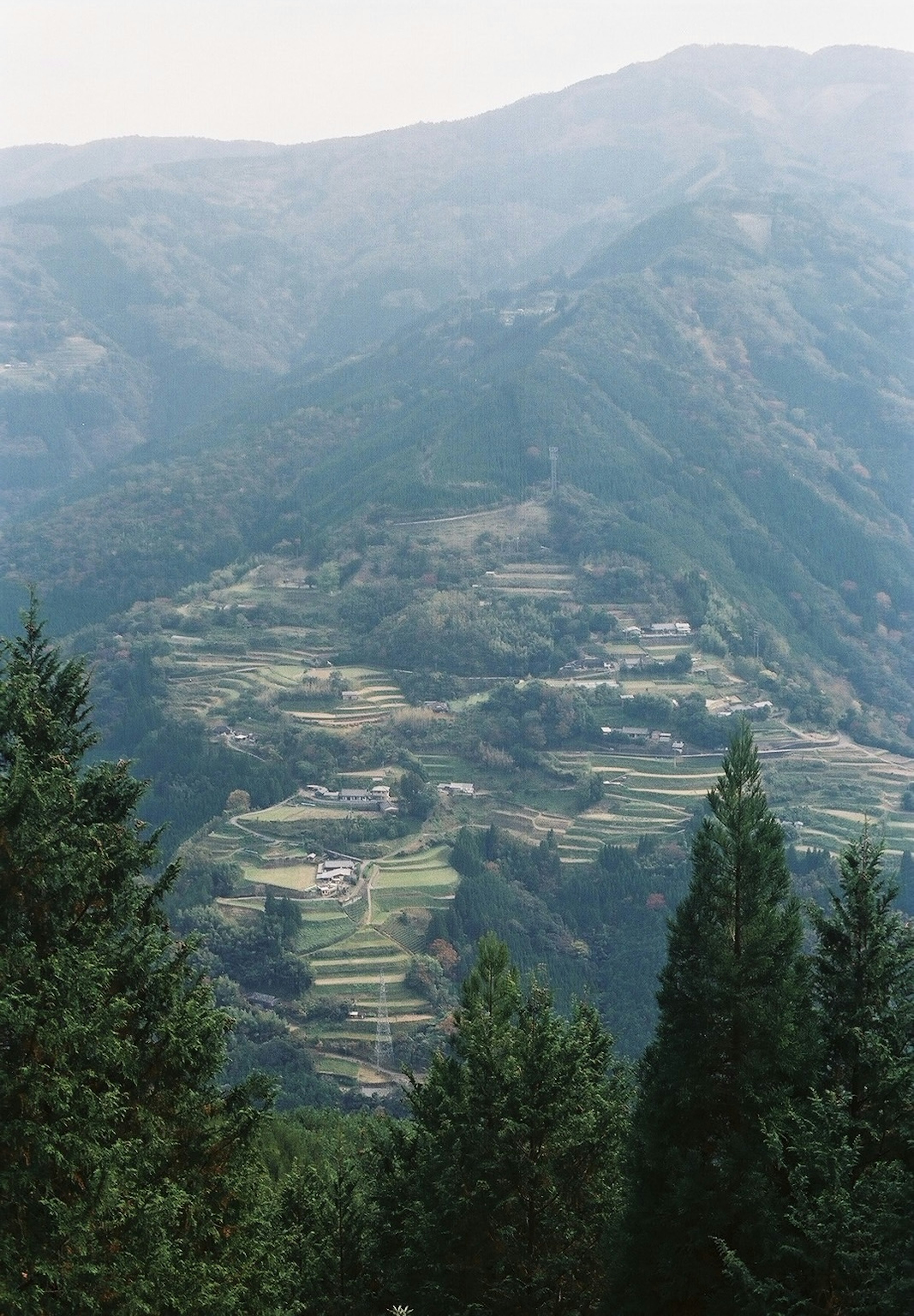 Lush terraced fields surrounded by mountains