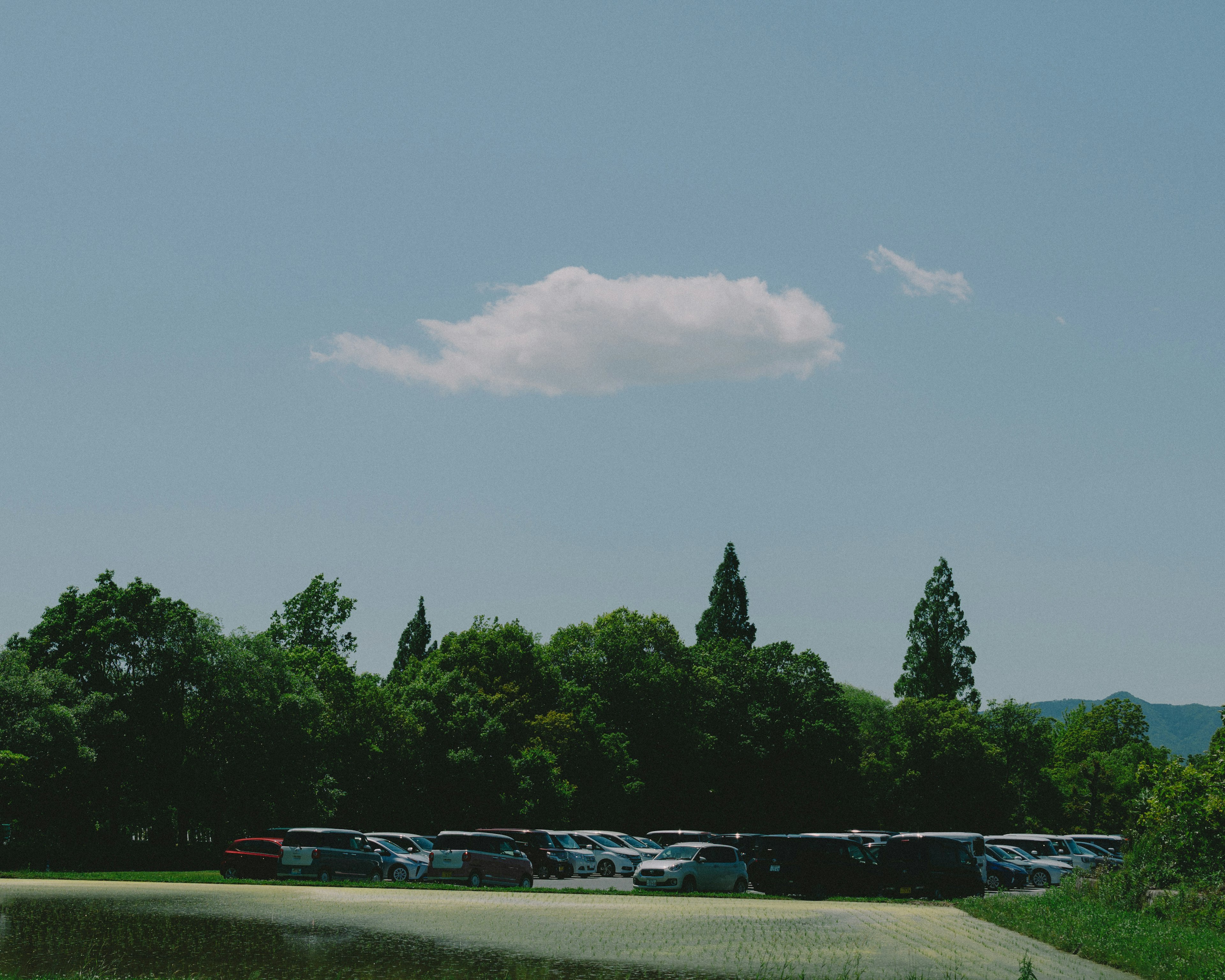 A white cloud floating in a blue sky with green trees in the background and parked cars visible