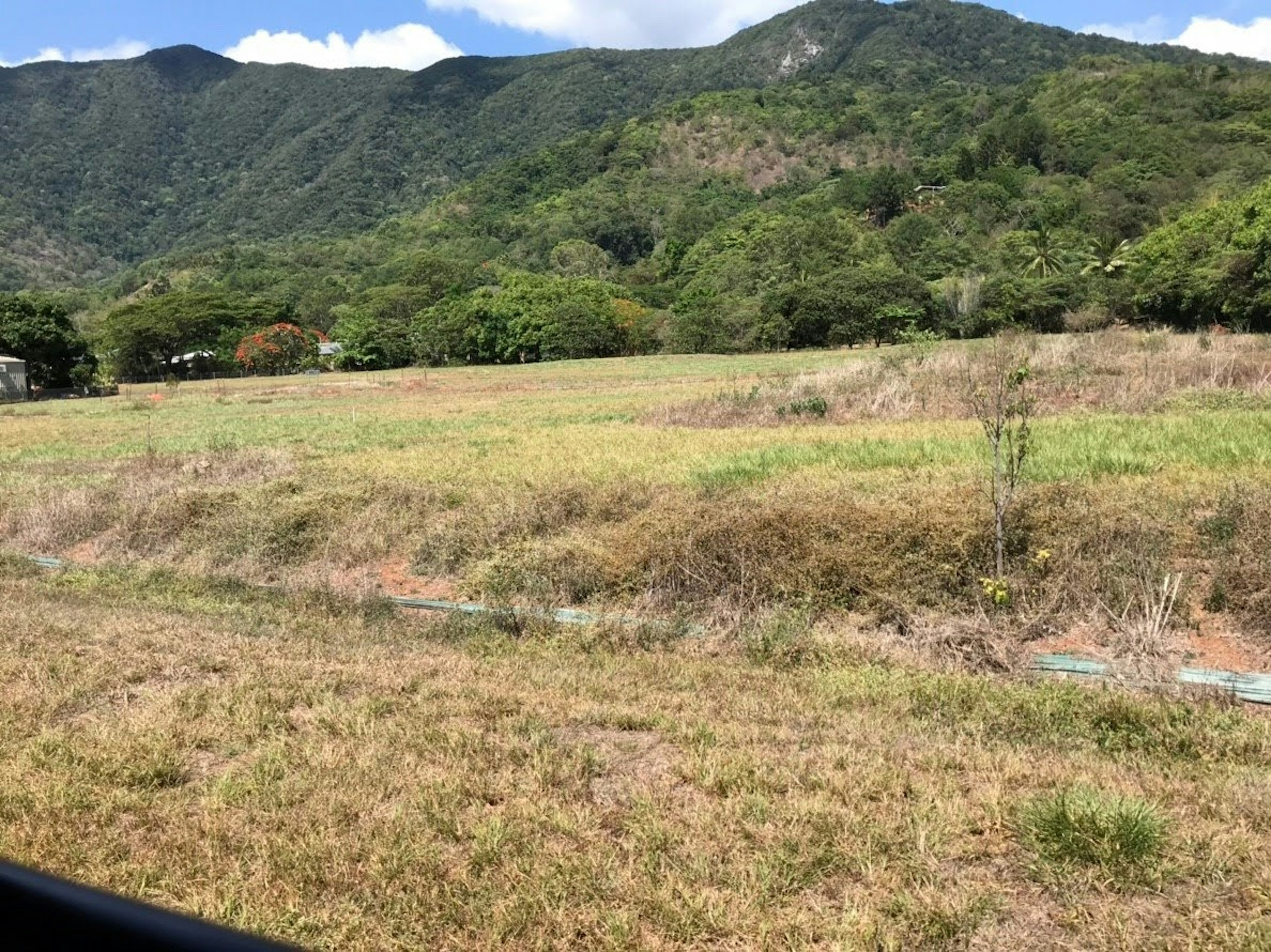 Lush mountains and vast grassy field landscape