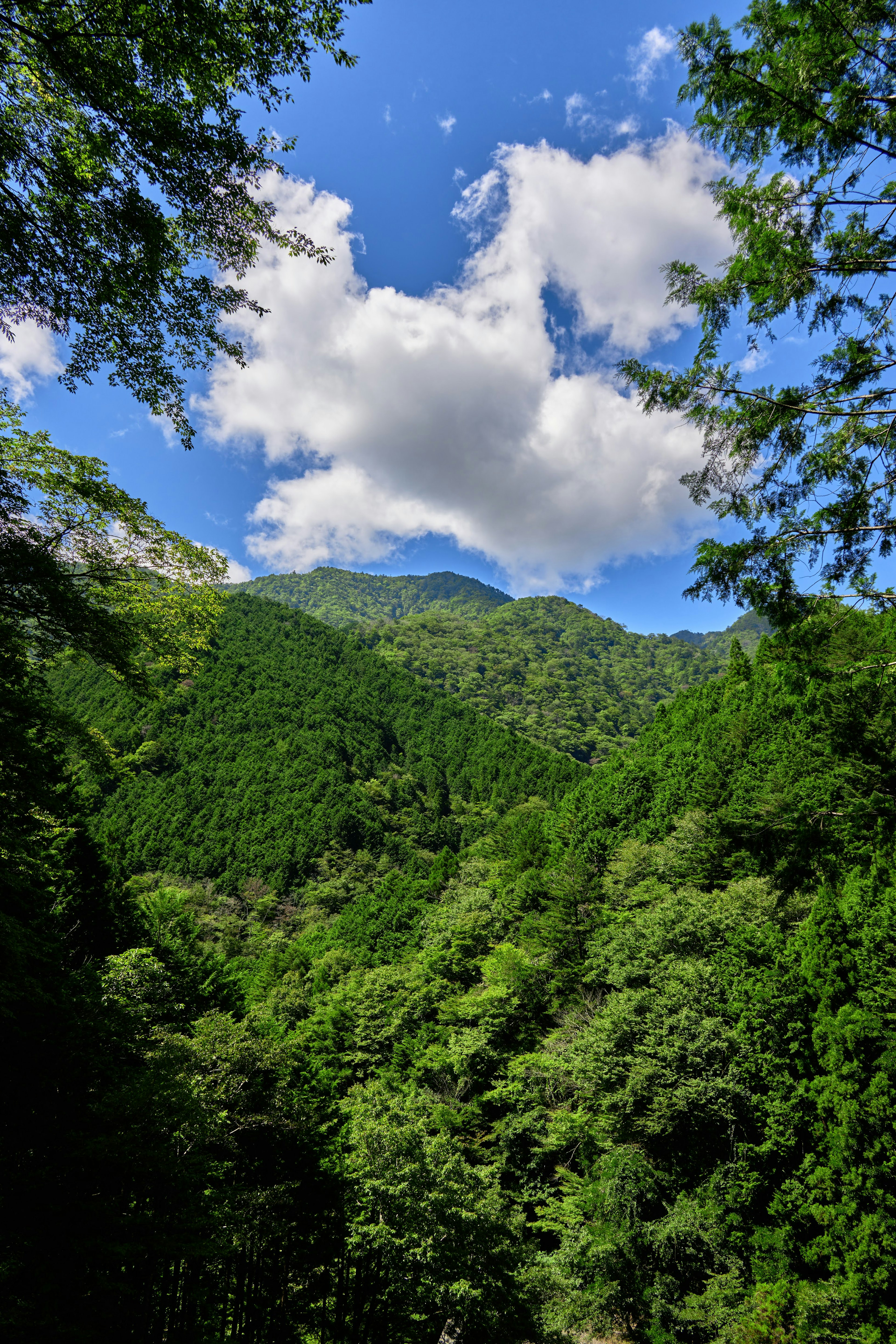 Montañas verdes bajo un cielo azul con nubes