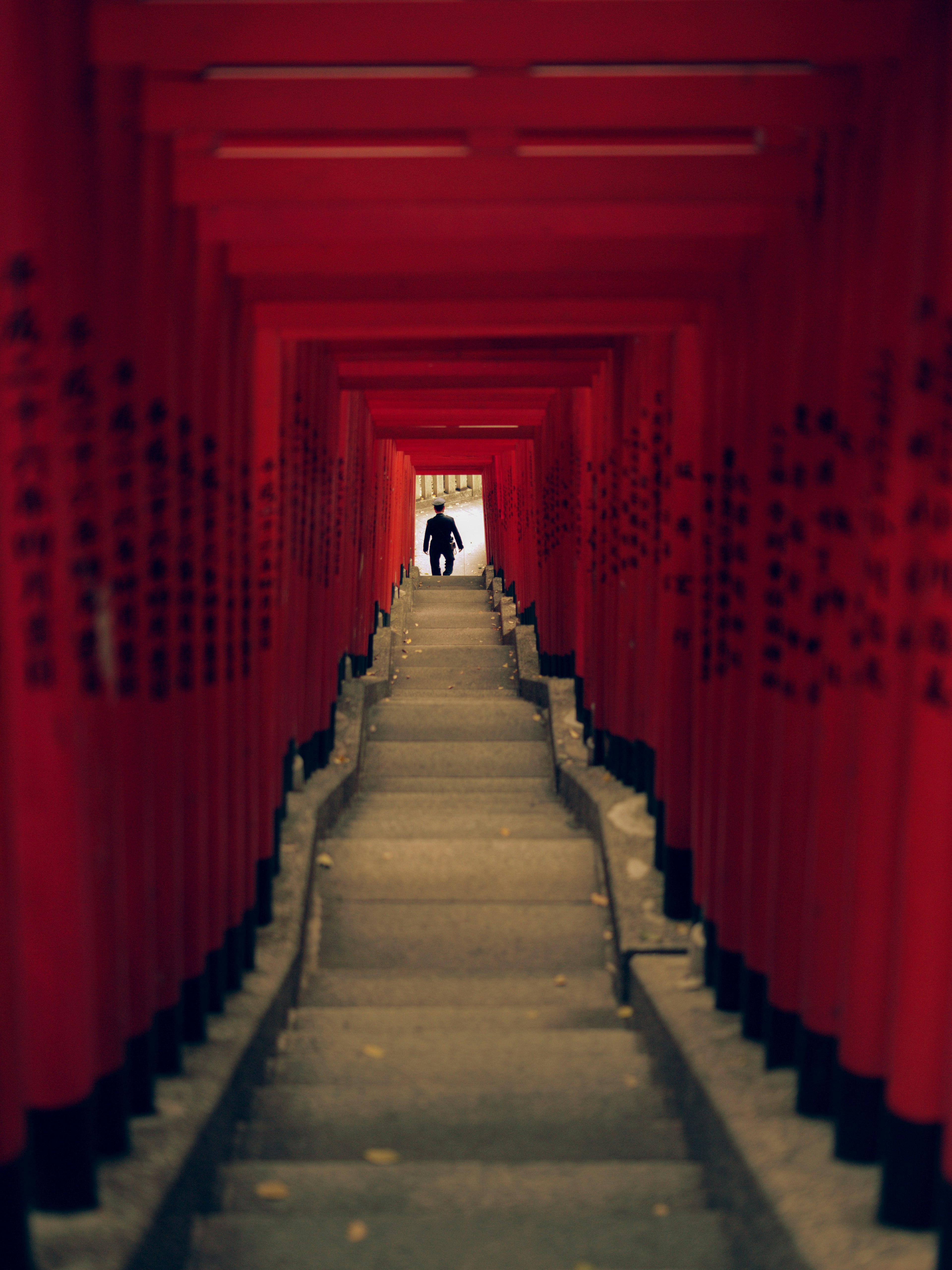 Lunga scalinata fiancheggiata da torii rossi persona visibile in lontananza