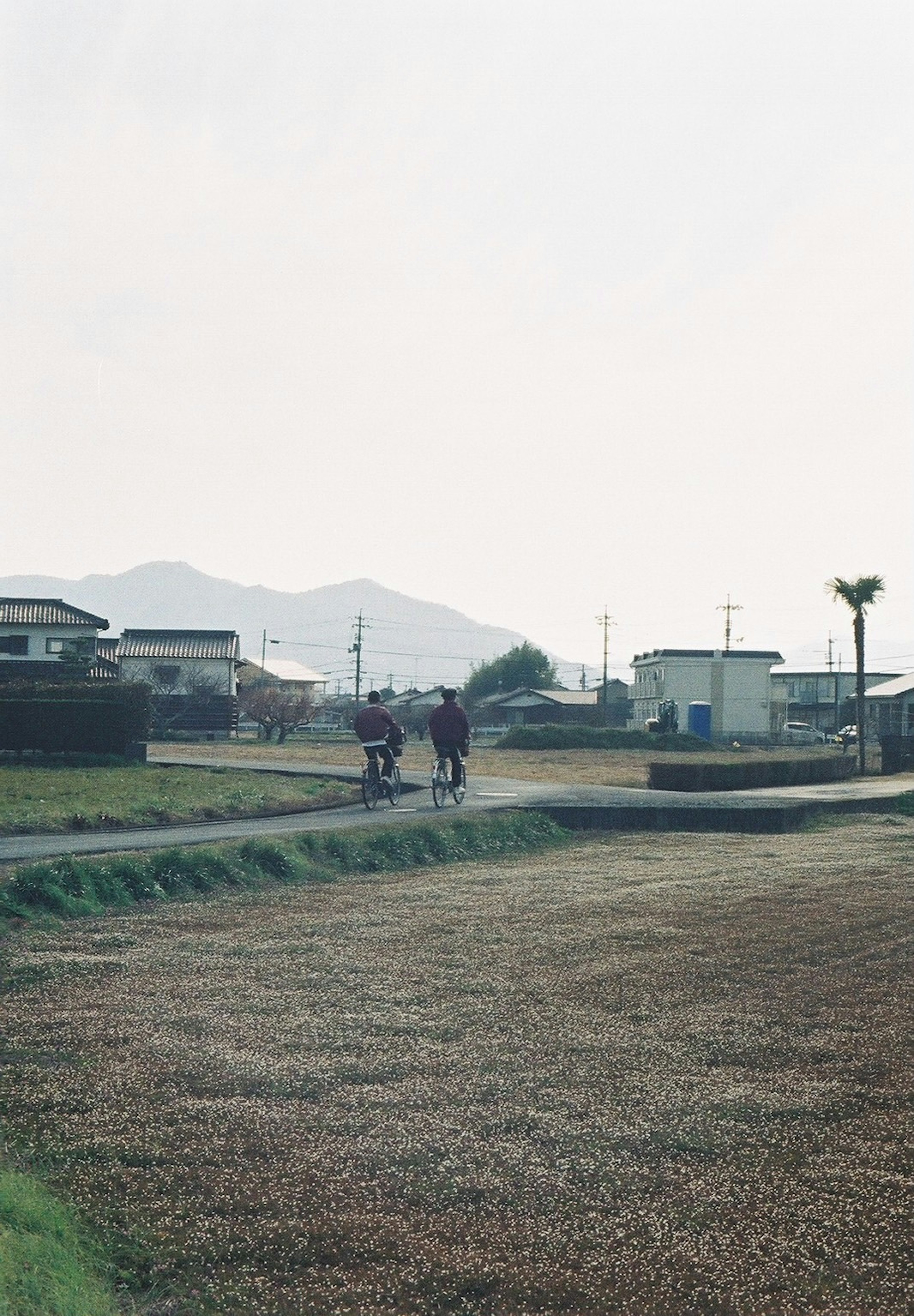 田舎の道を歩く人々のシーン、遠くに山々が見える