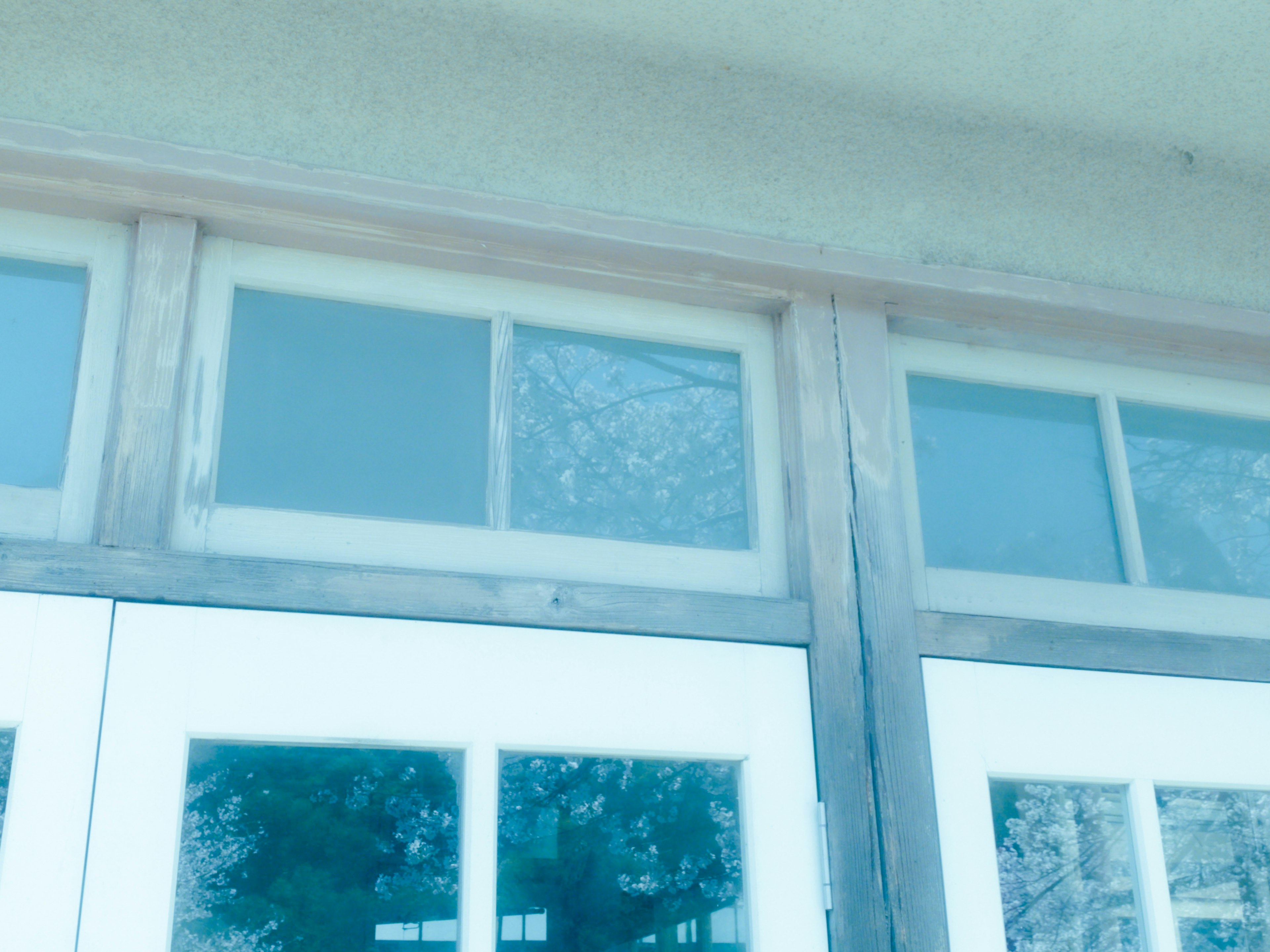 Close-up of blue-toned doors and window details of a building