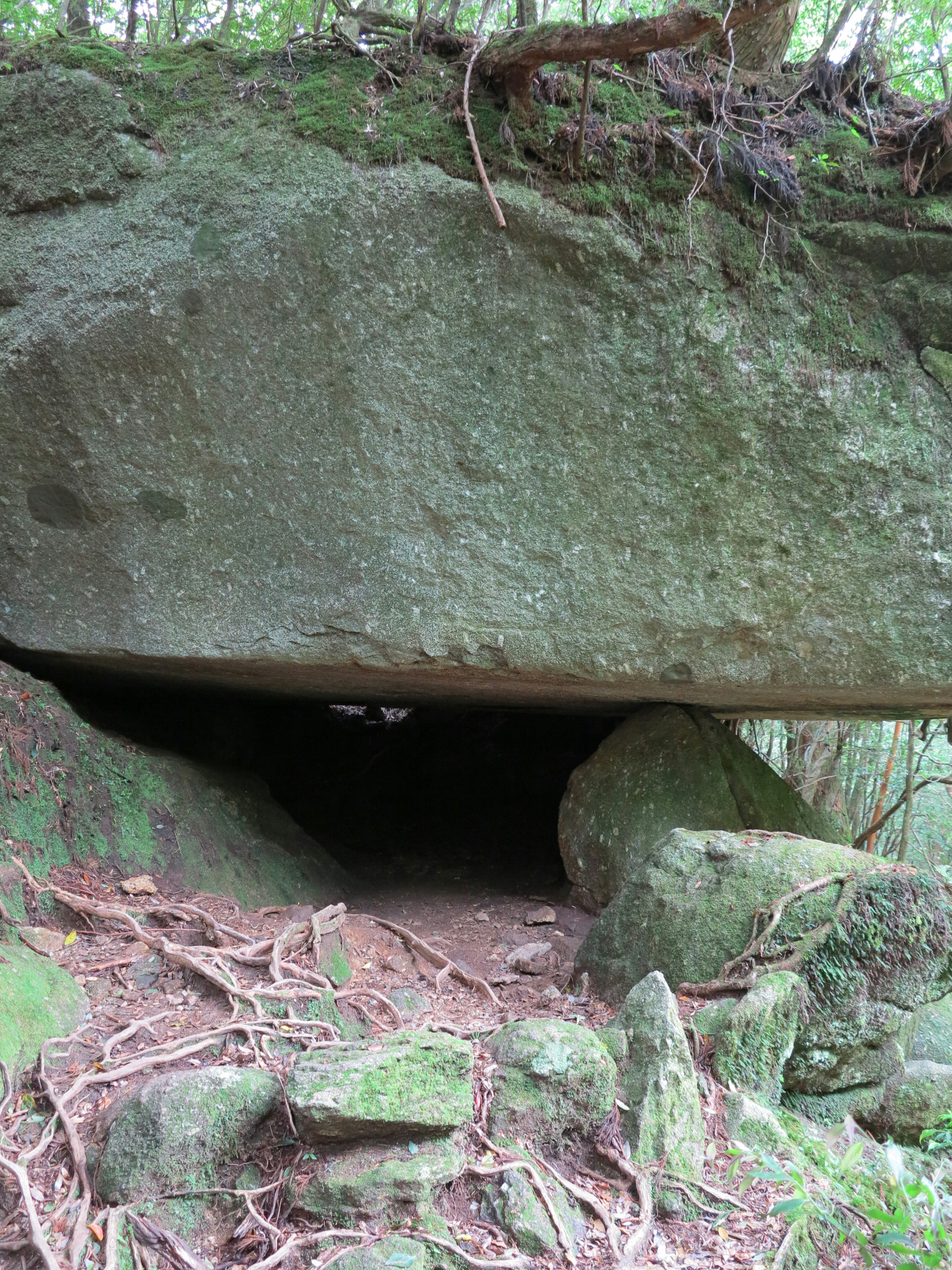 Ruang mirip gua di bawah batu besar dikelilingi oleh vegetasi