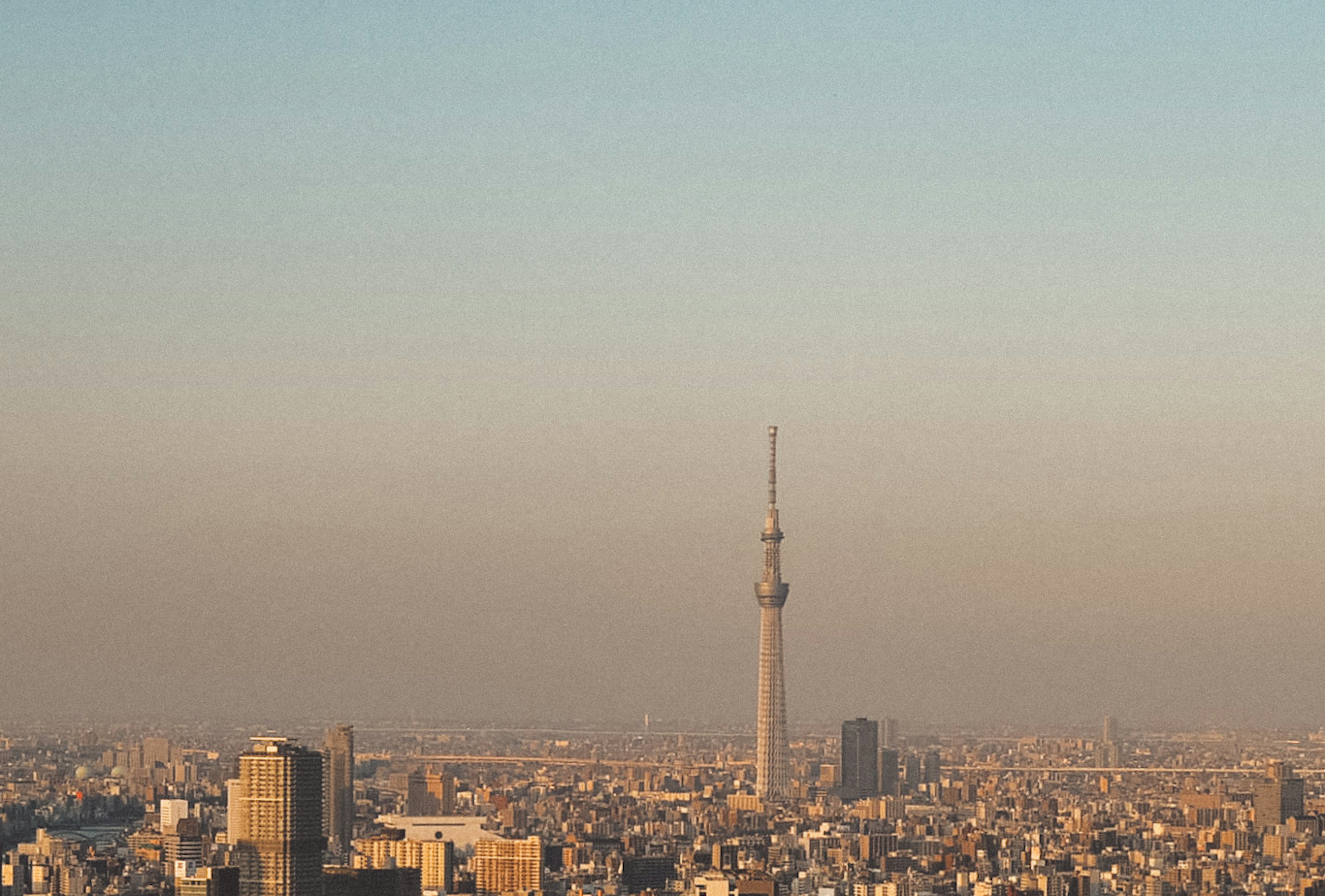 東京スカイツリーと都市の景色のパノラマ