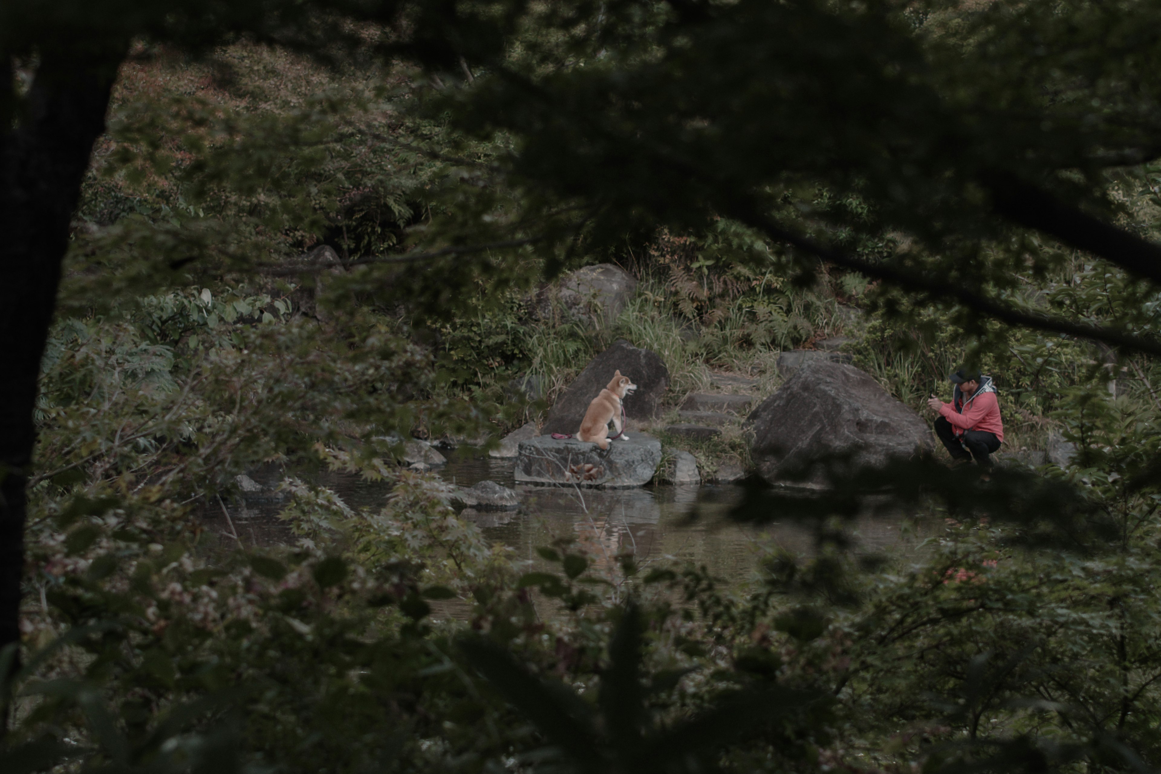 Two people sitting on a large rock surrounded by lush greenery