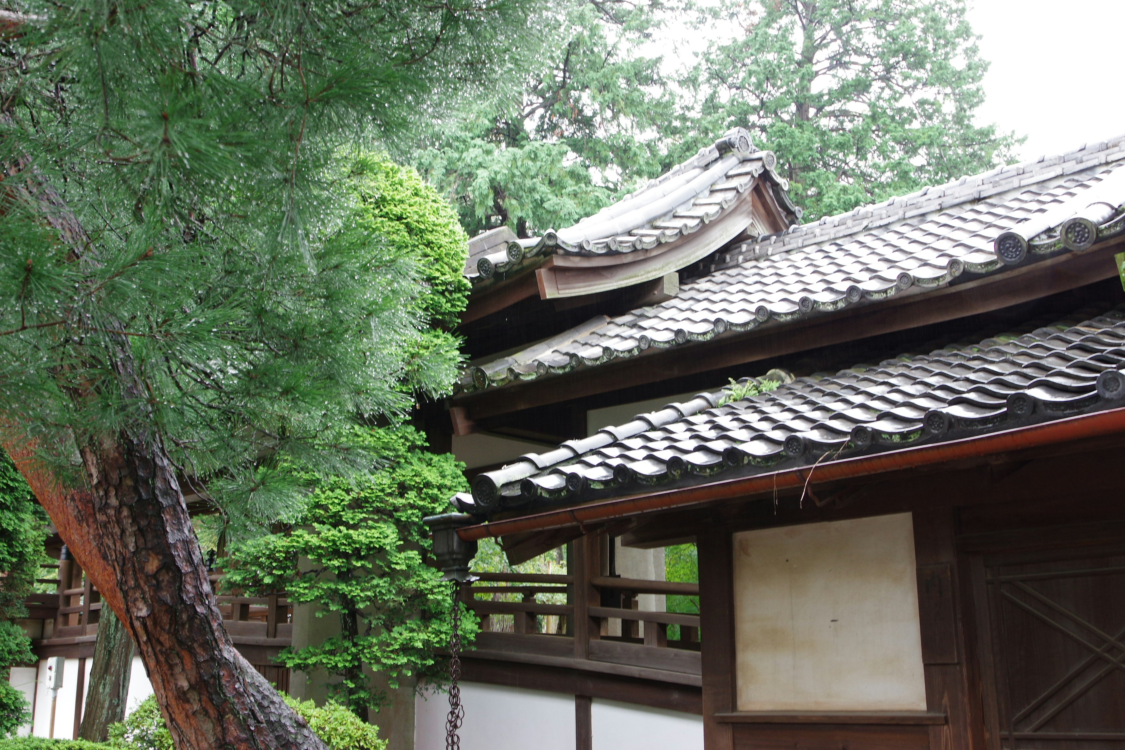 传统日本建筑与郁郁葱葱的绿植及复杂屋顶