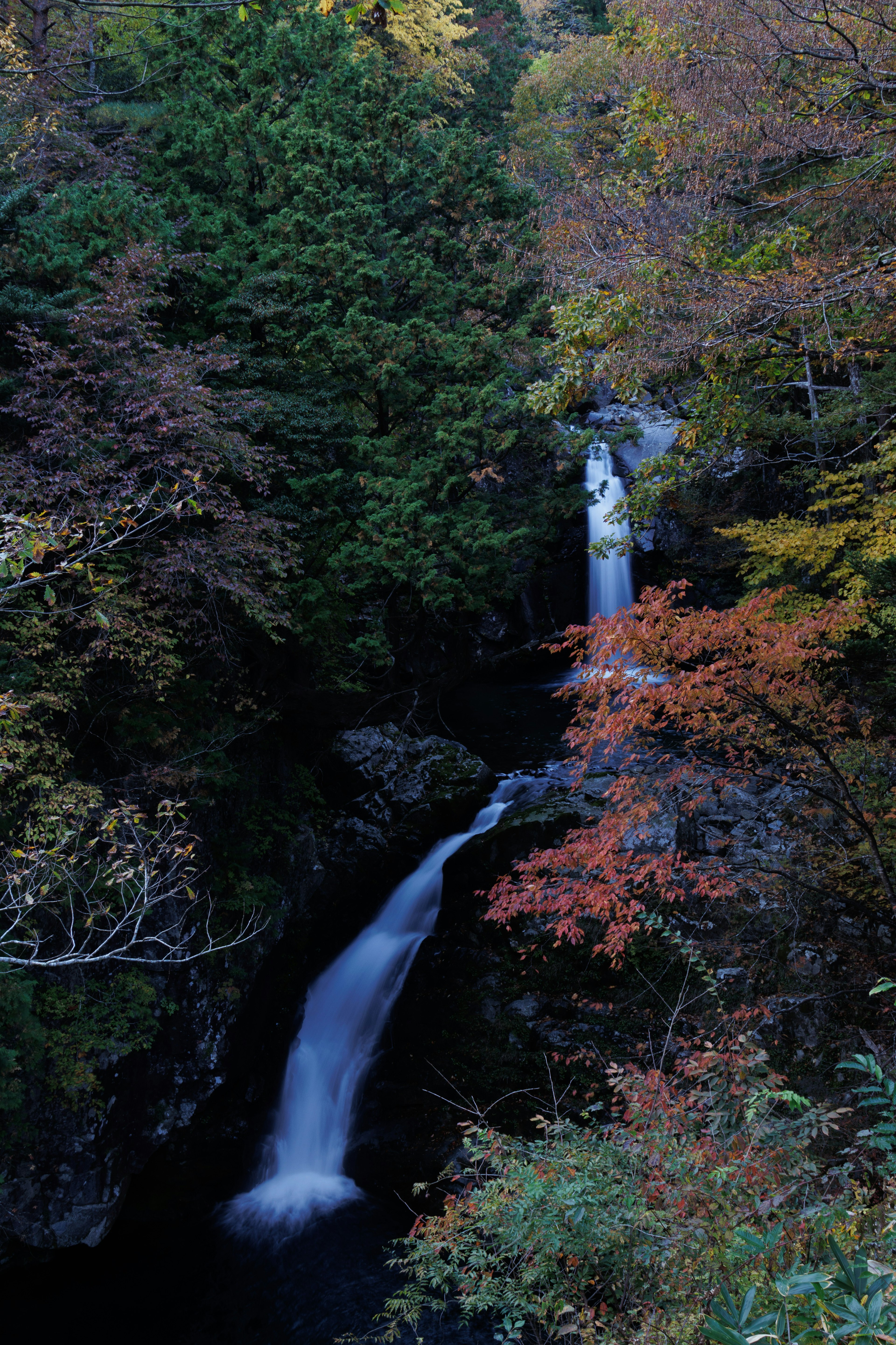 Cascata circondata da foglie autunnali