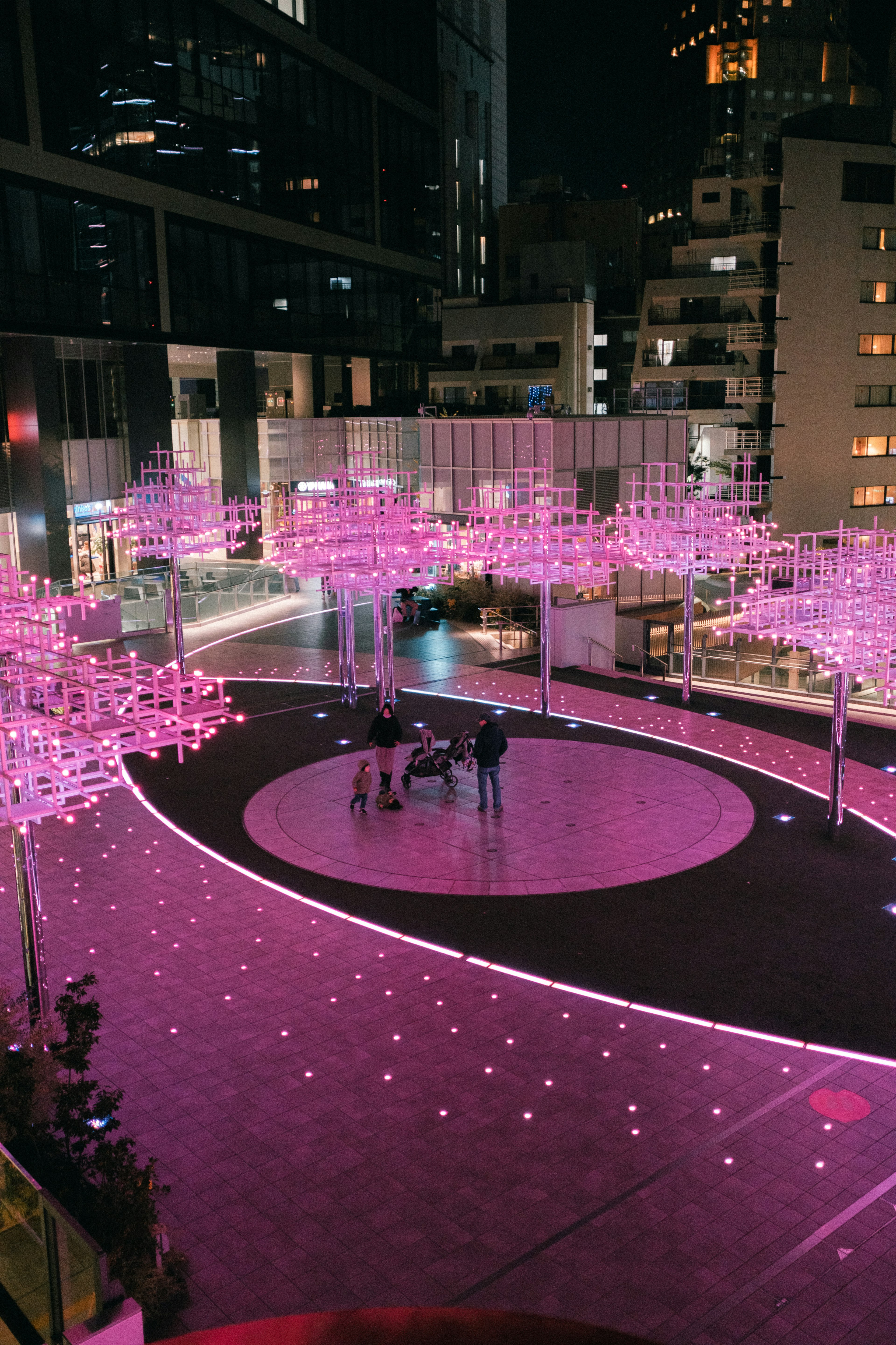 Vista notturna di una piazza cittadina con alberi illuminati di rosa e persone