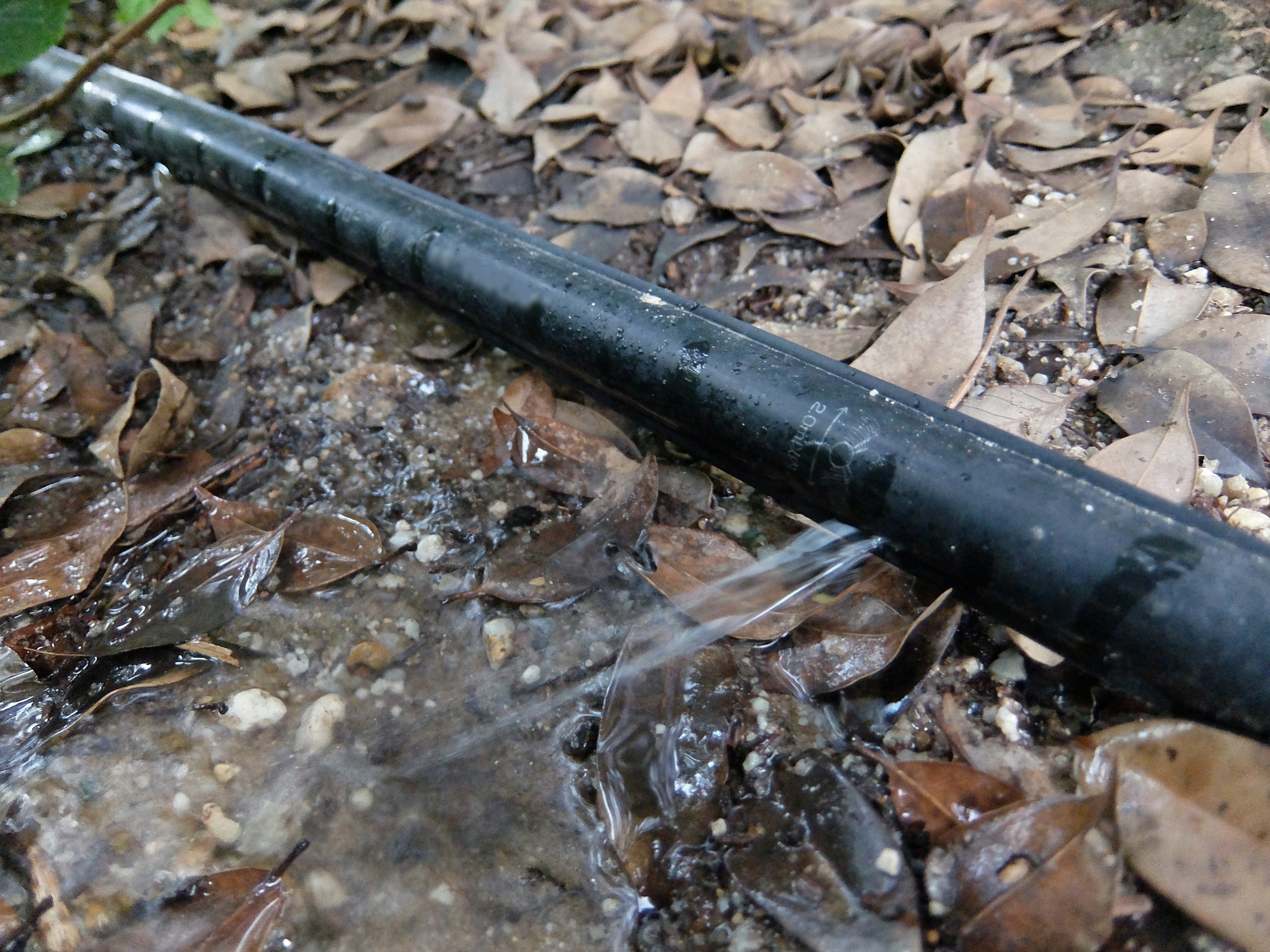 Una tubería negra filtrando agua sobre un suelo cubierto de hojas