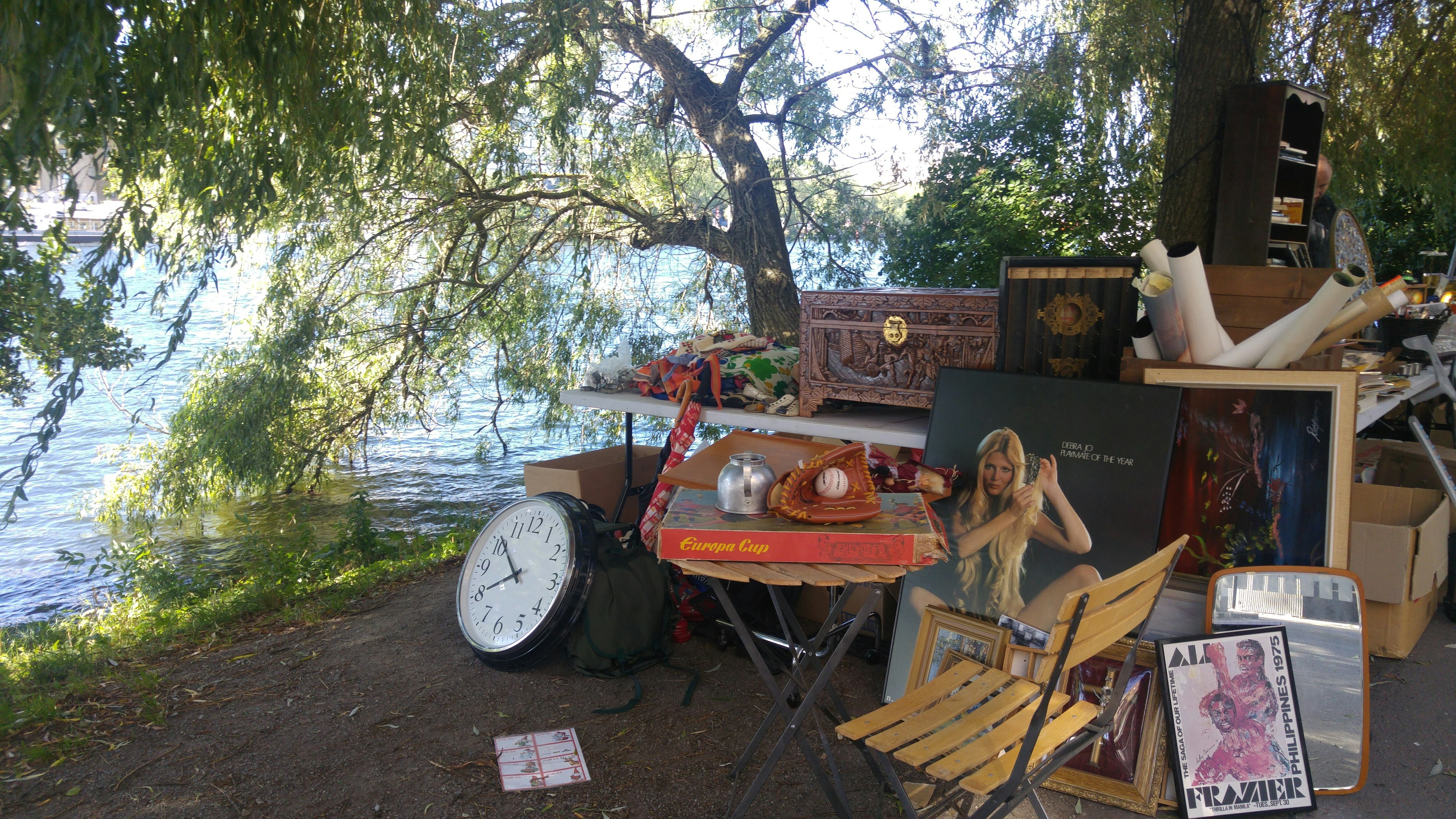 A collection of vintage furniture and items arranged under trees near a lake