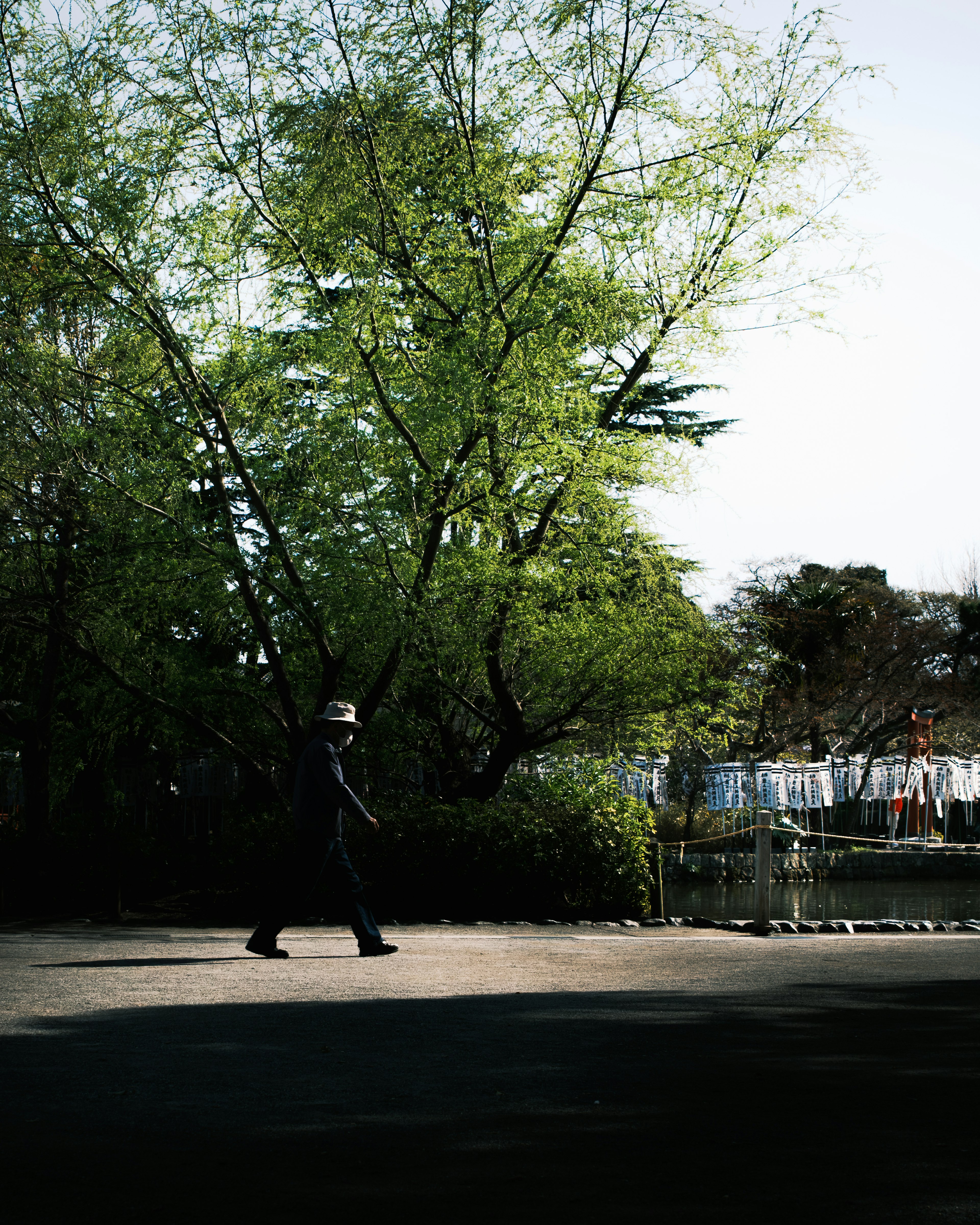 Silhouette of a person walking beside a green tree with laundry hanging in the background