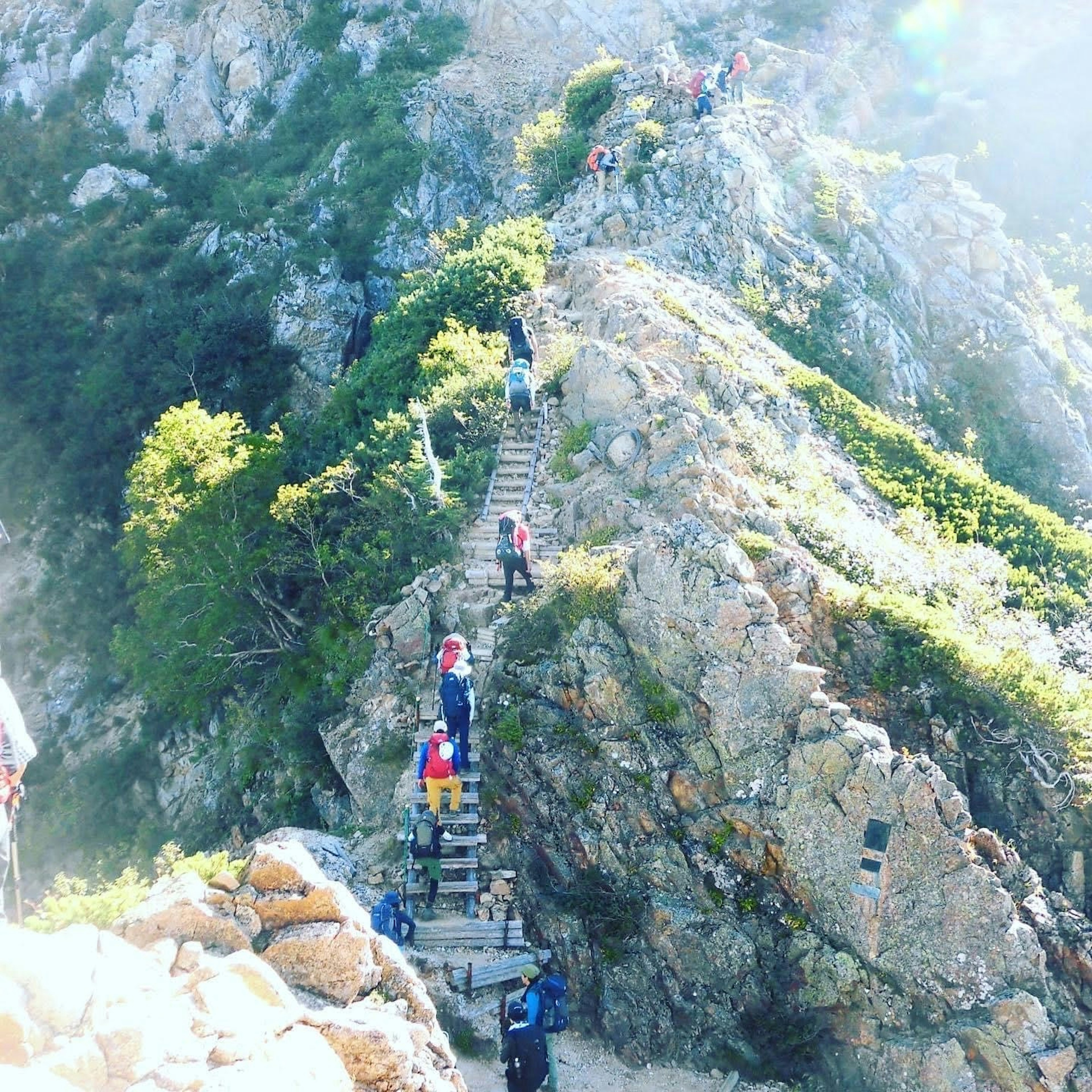 Randonneurs montant un sentier de montagne rocheux entouré de verdure