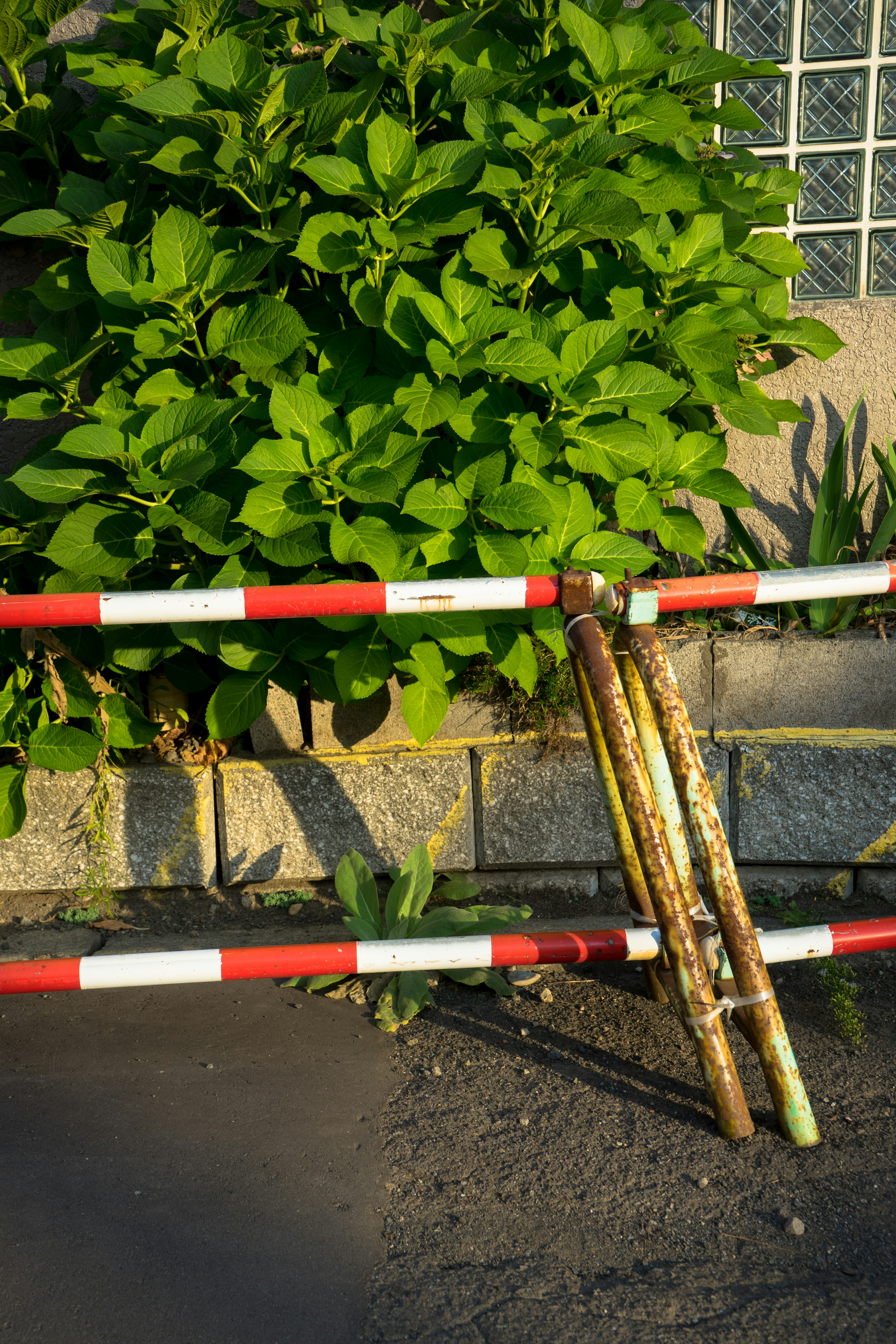 Image of a red and white barrier in front of green foliage