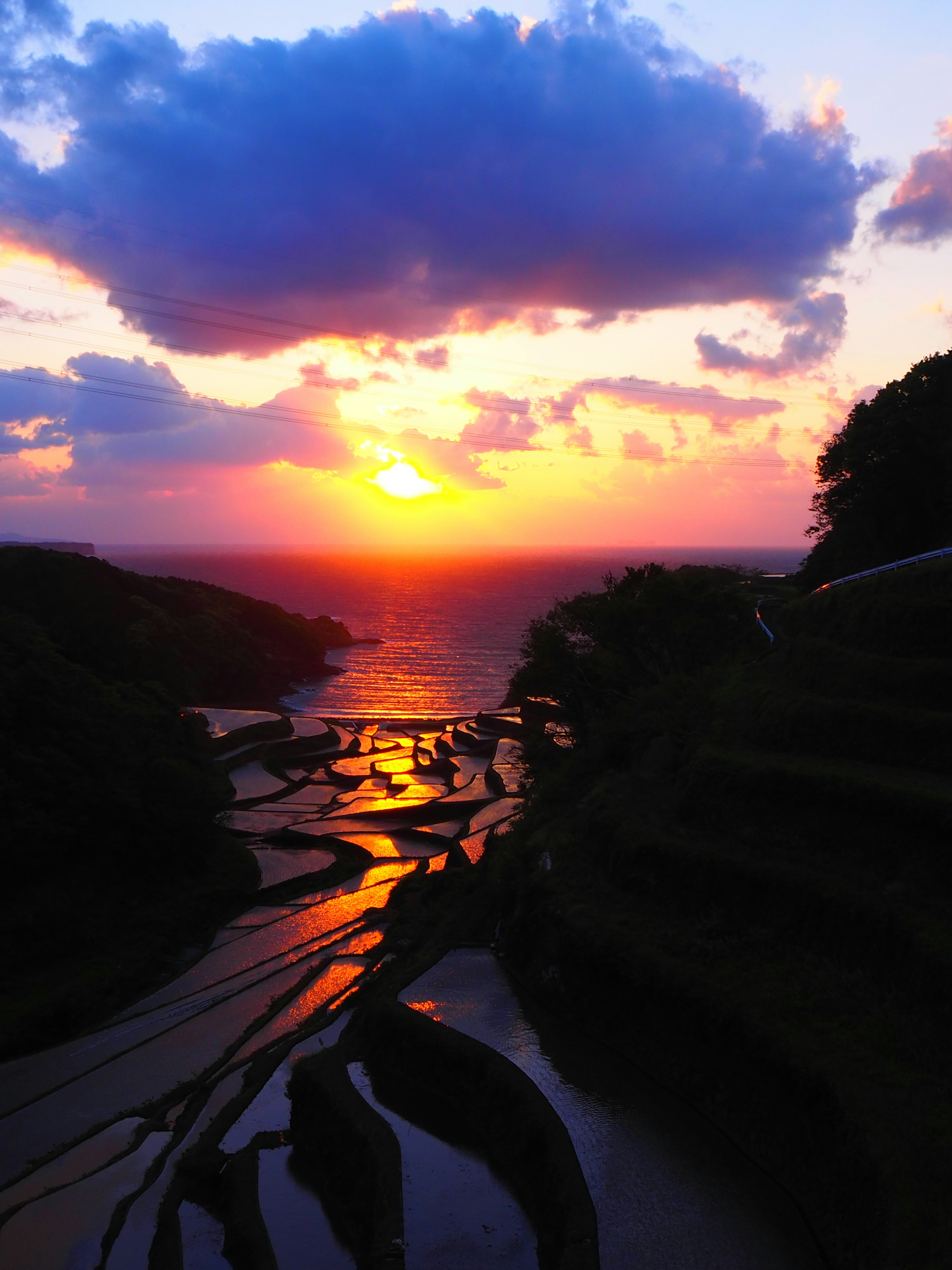 Pemandangan indah sawah teras saat matahari terbenam menghadap lautan