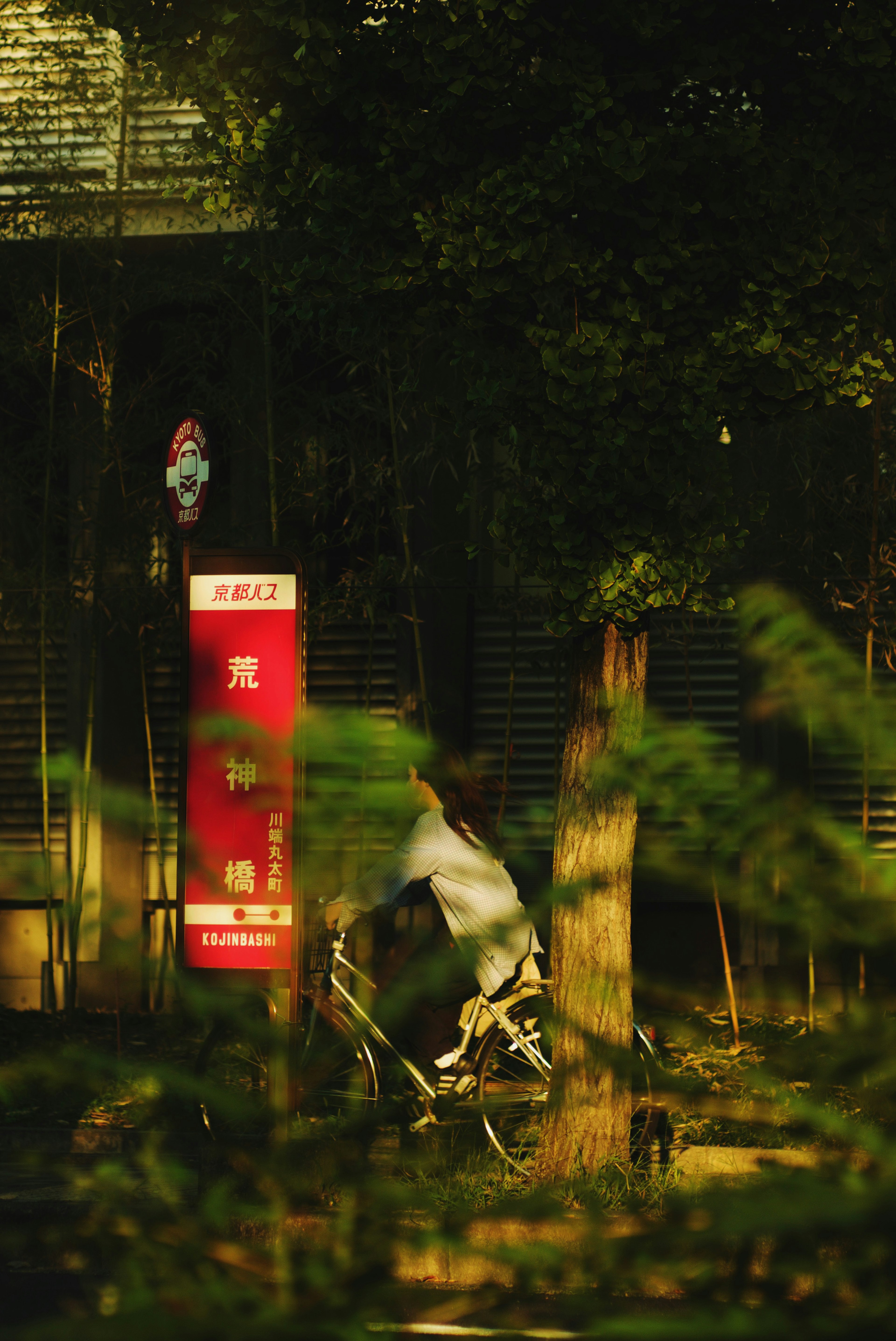 緑の木々の間に隠れた自転車と赤い看板の風景