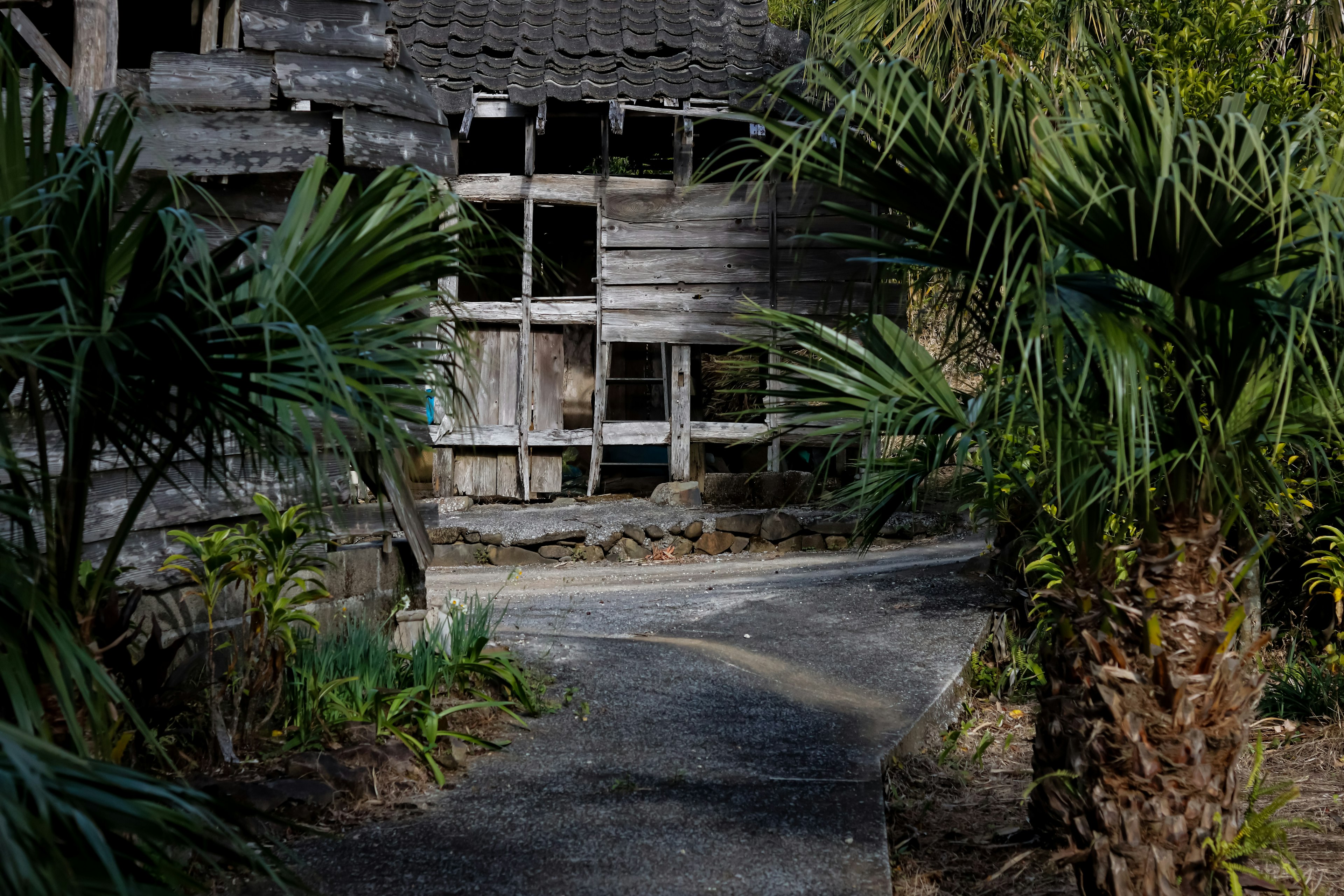 古い木造の建物と緑豊かな植物が見える小道