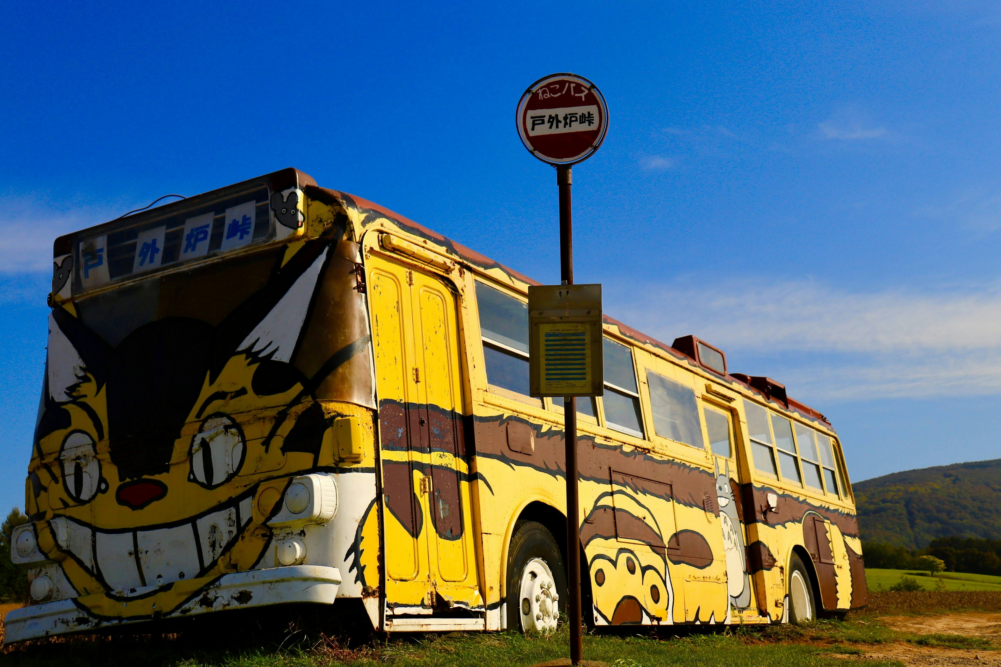 Sebuah bus kuning dengan desain kucing di latar belakang langit biru