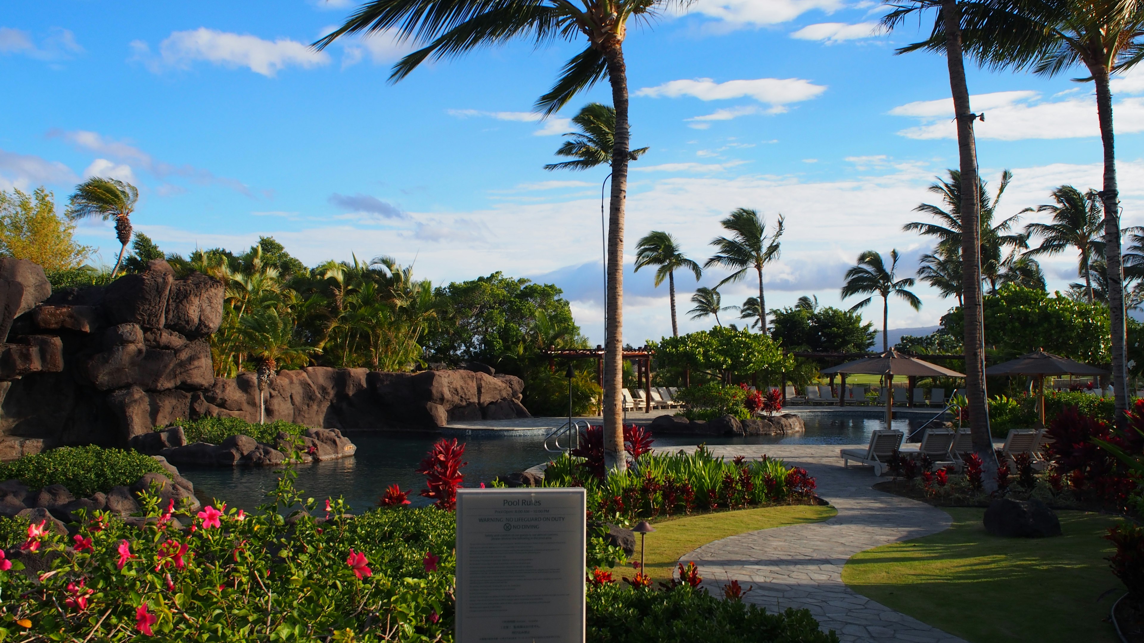 Lush tropical garden with vibrant flowers and tall palm trees