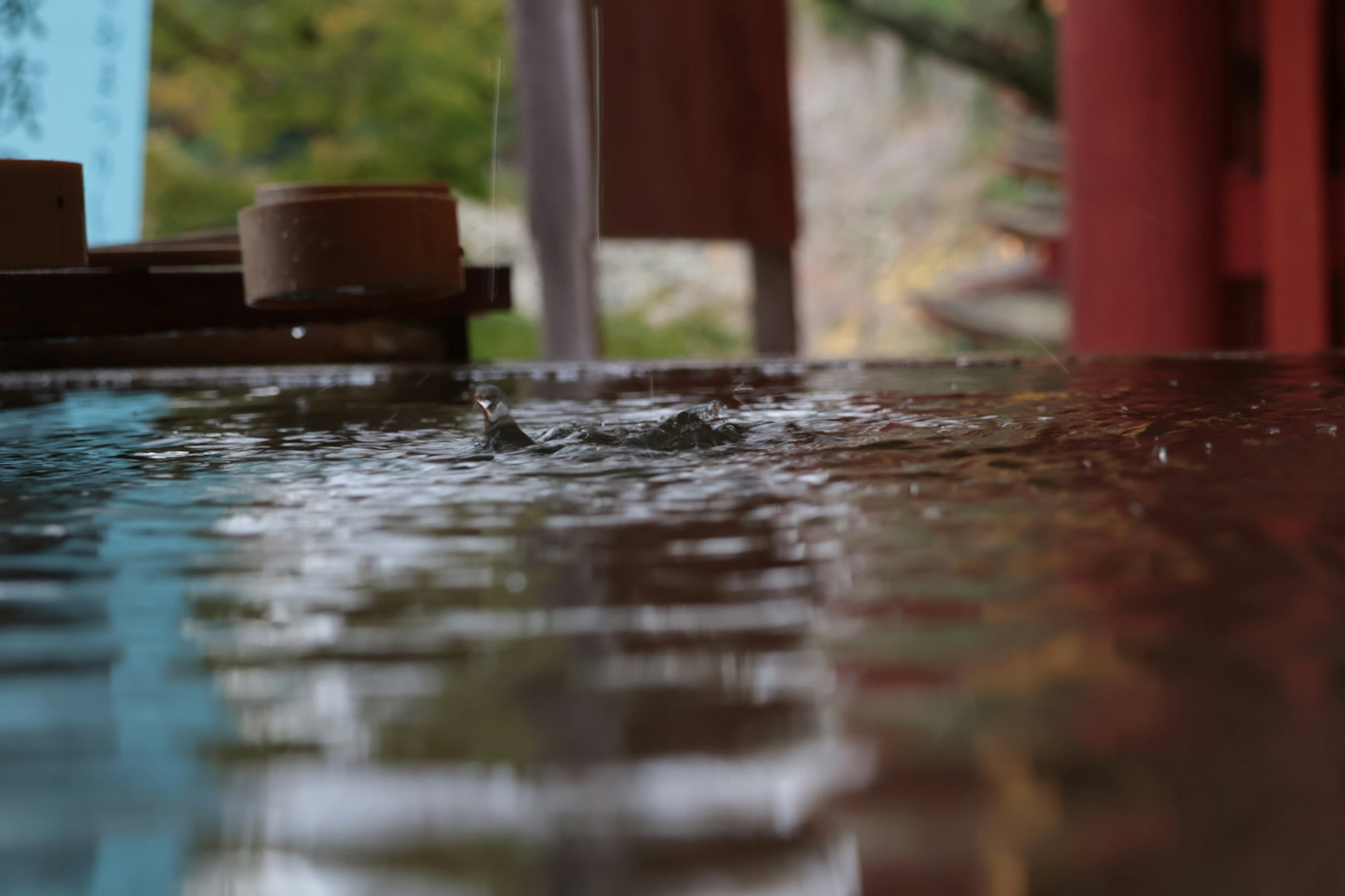 Scena tranquilla con riflessi di una struttura rossa e uno sfondo verde sulla superficie dell'acqua