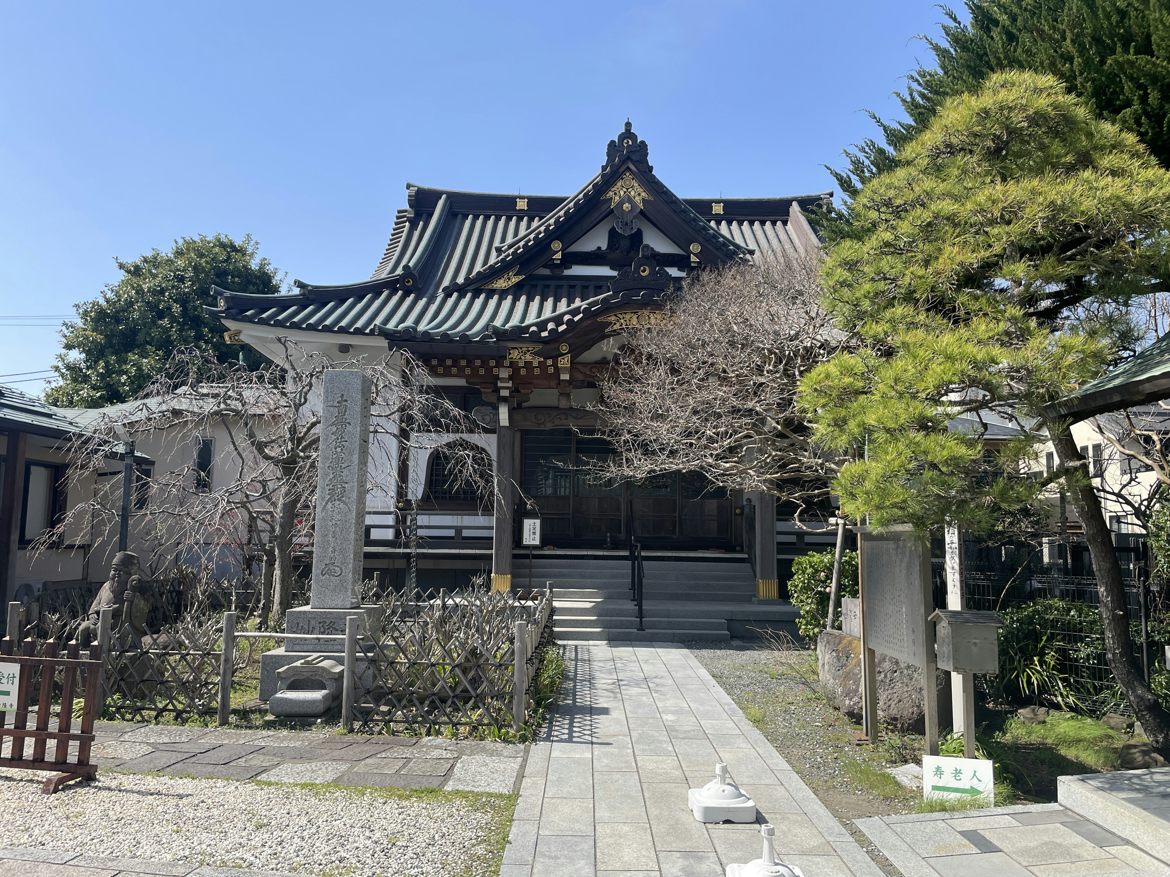 歴史的な寺院の外観、青空、桜の木、緑の植栽