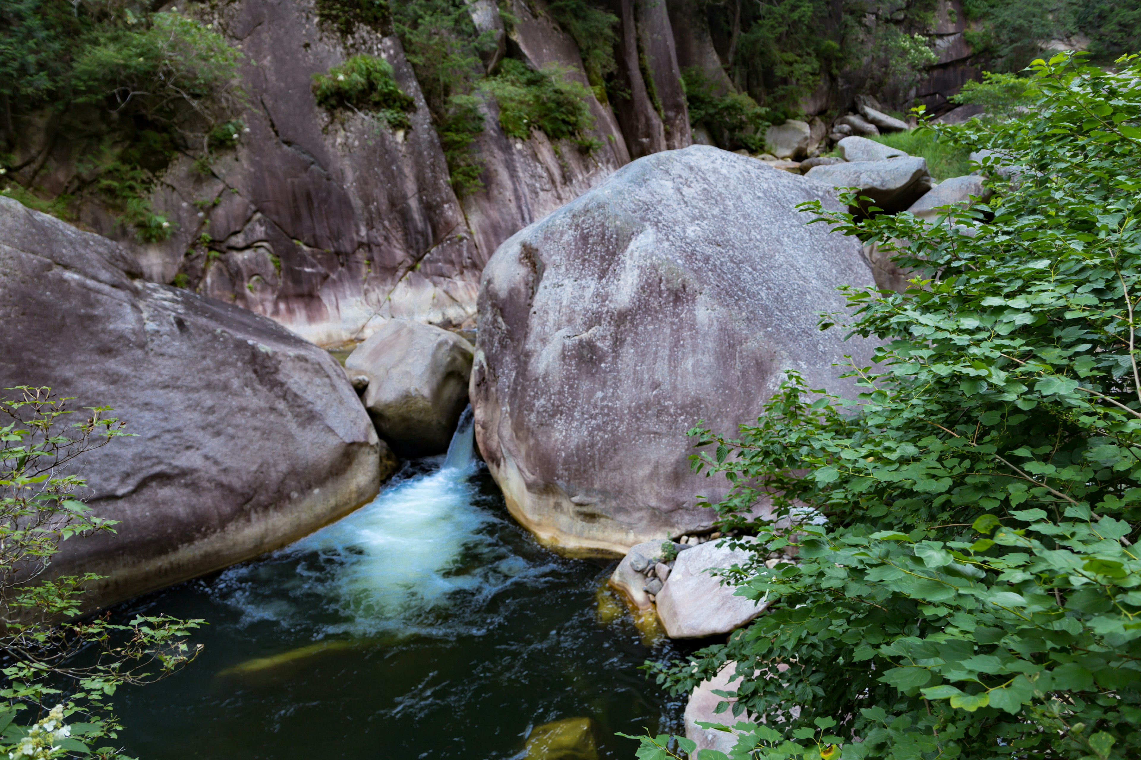 A large boulder flanks a rushing river surrounded by lush greenery