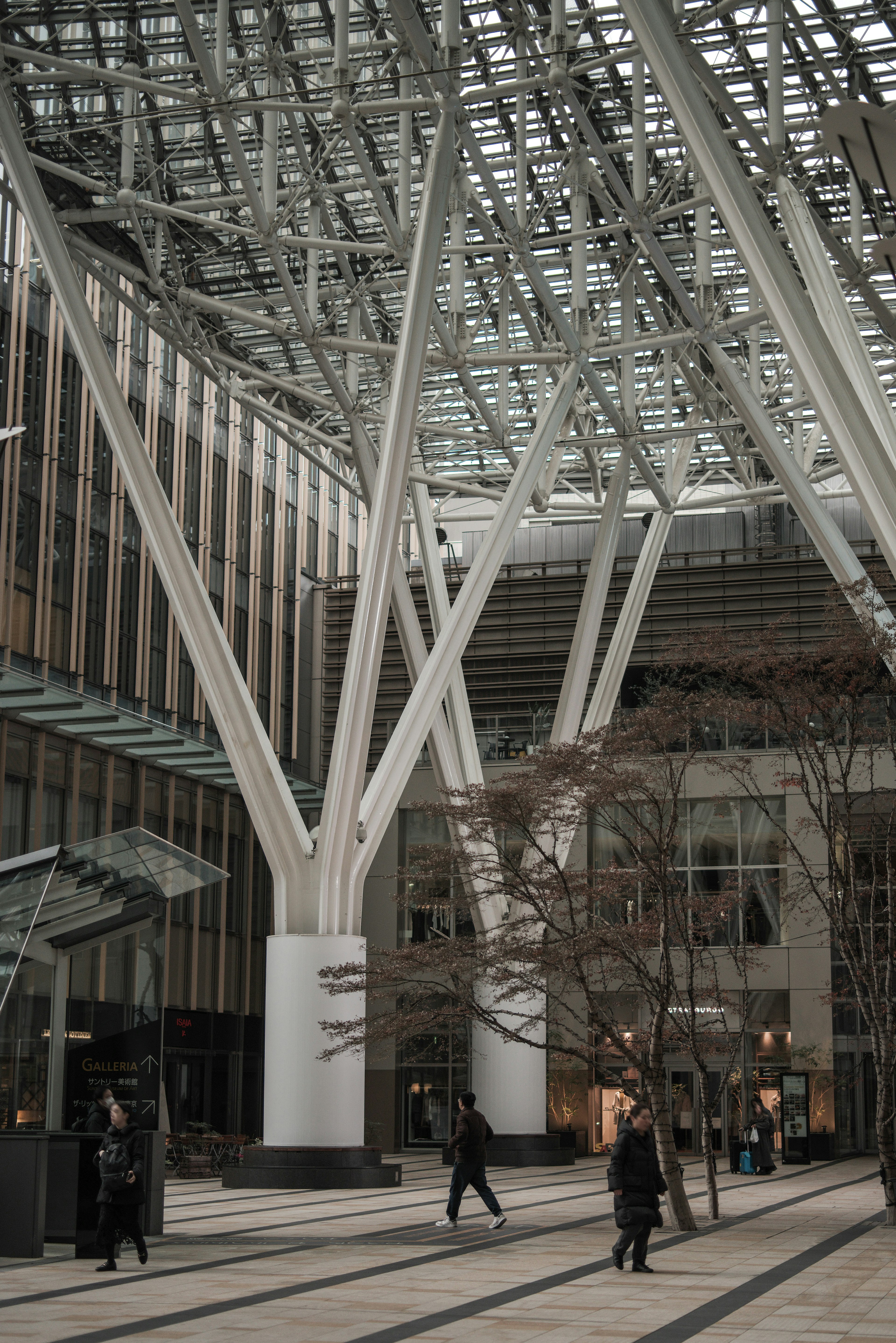 Interior of a modern building featuring distinctive pillars and a glass roof