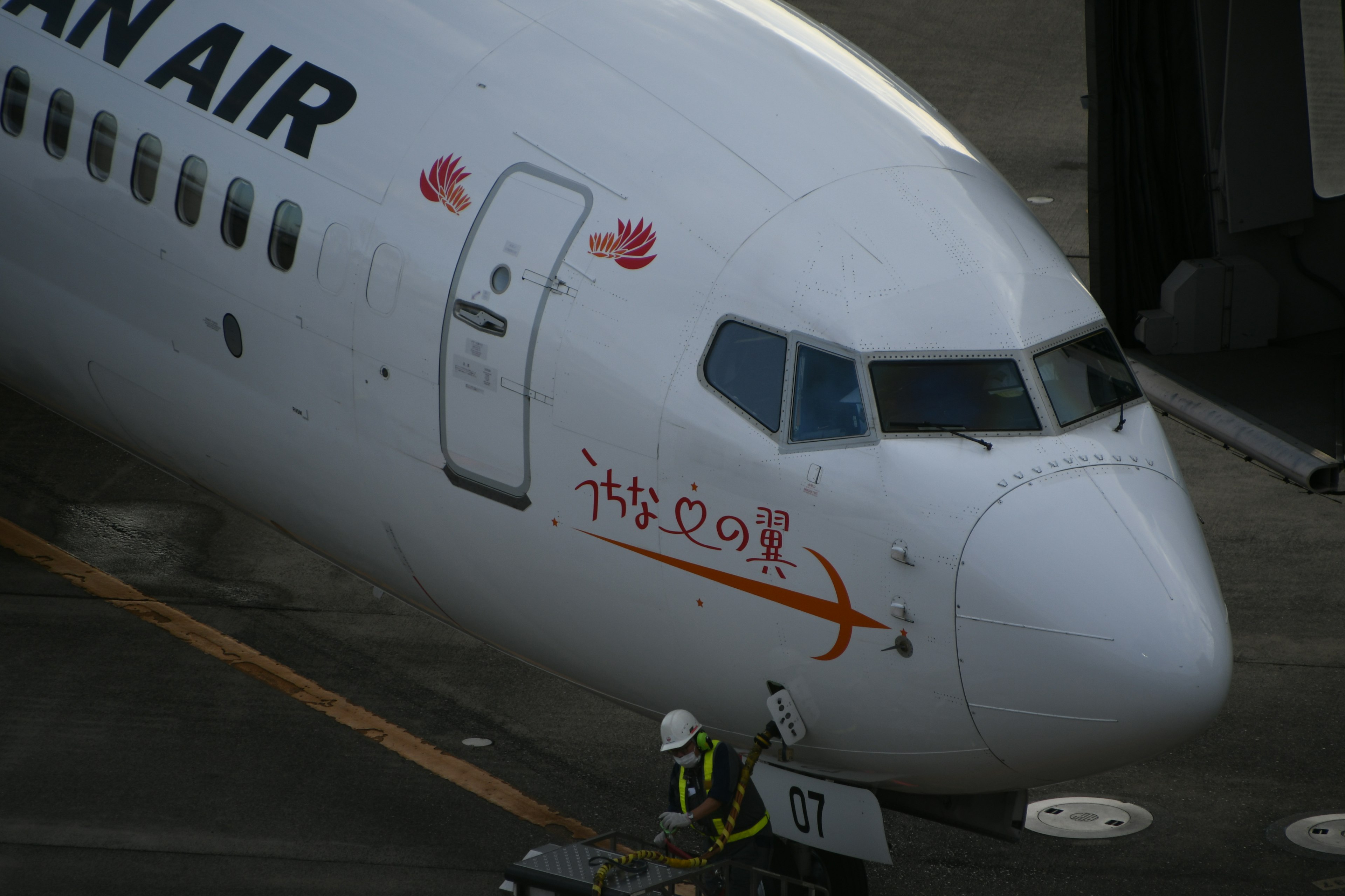 韓国航空のボーイング737の機首とロゴ