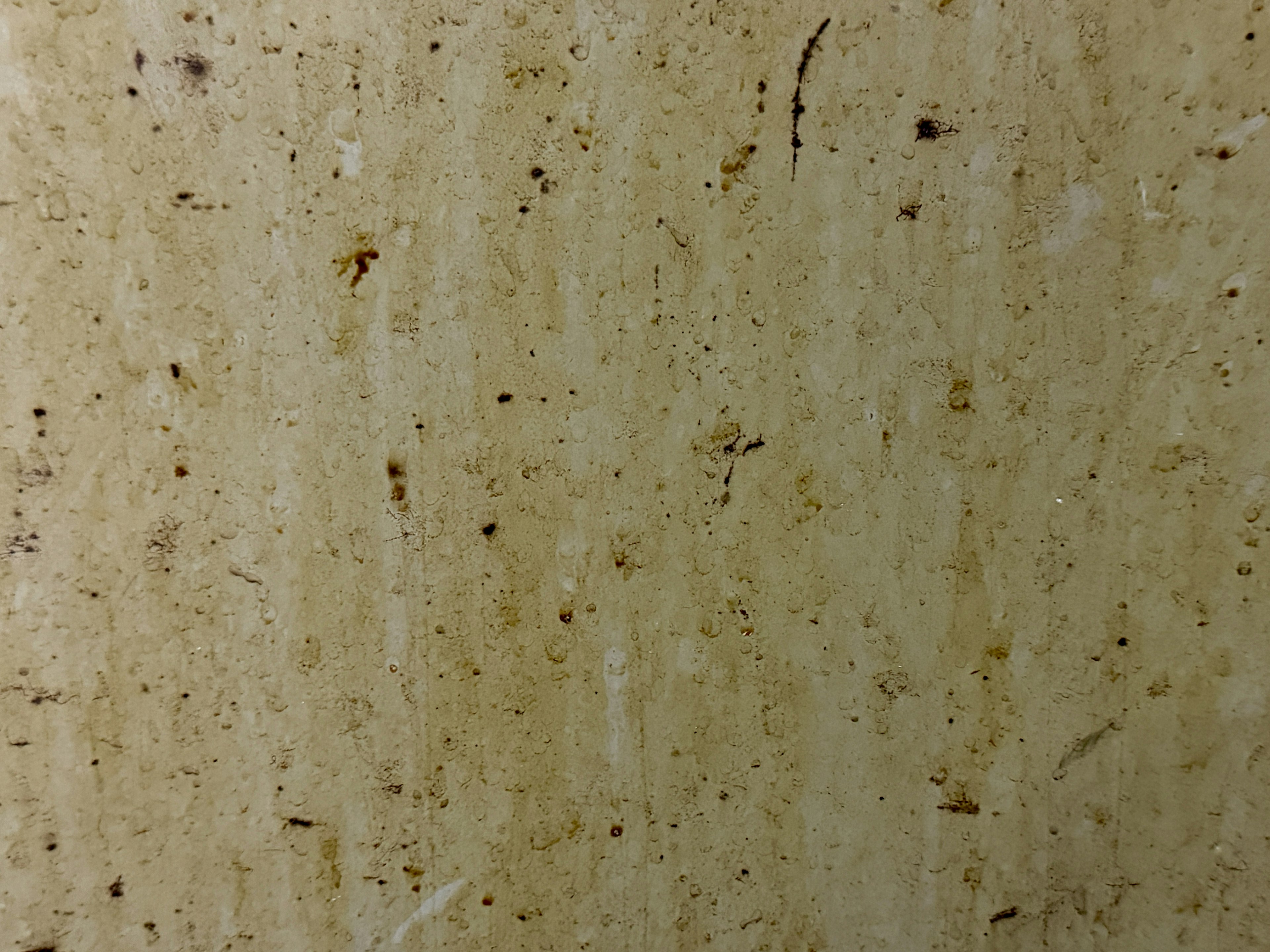 Light beige stone surface with subtle patterns and speckles