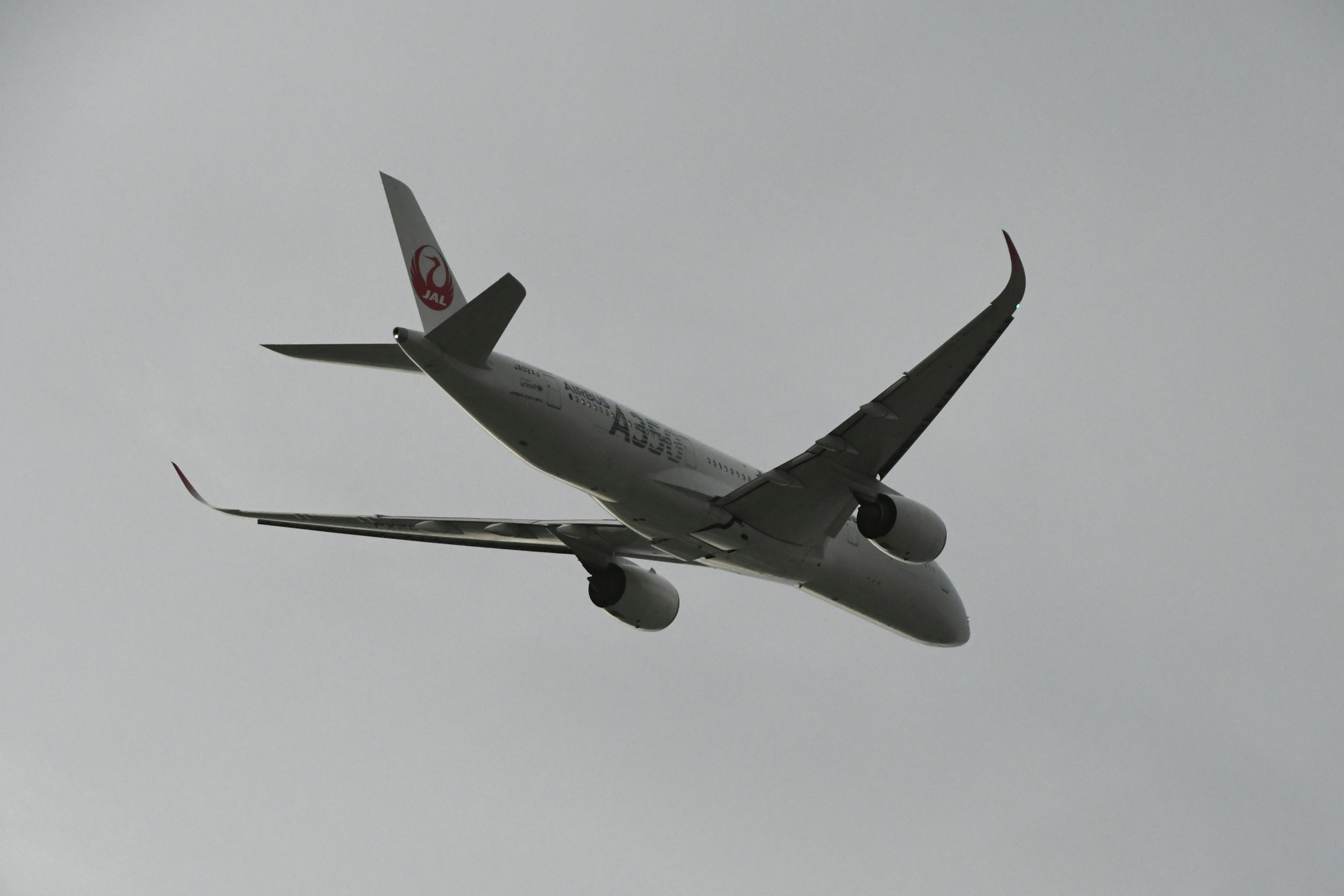 灰色の空を背景に飛ぶ航空機の側面