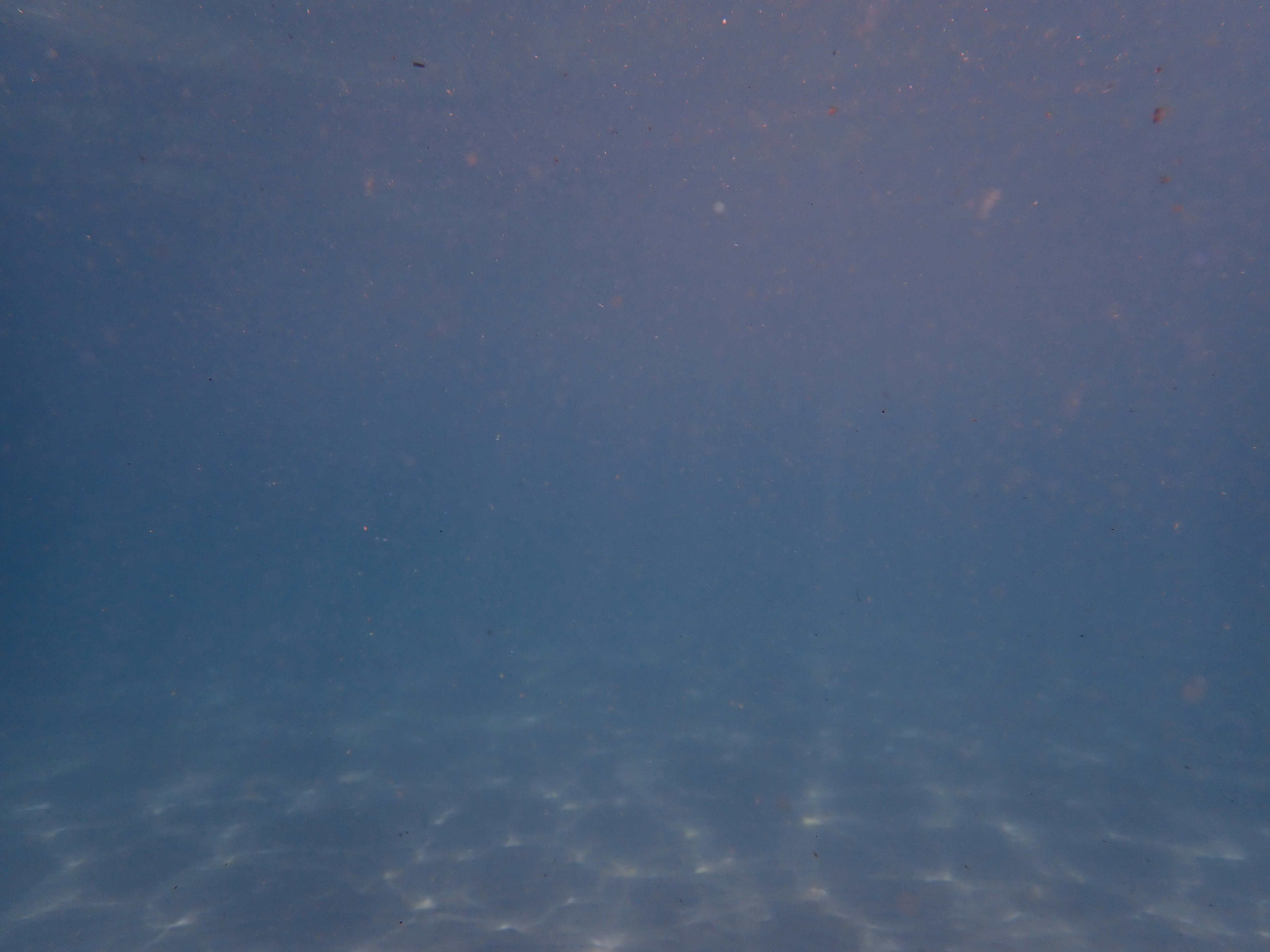 Ruhige blaue Unterwasserszene mit Lichtreflexionen