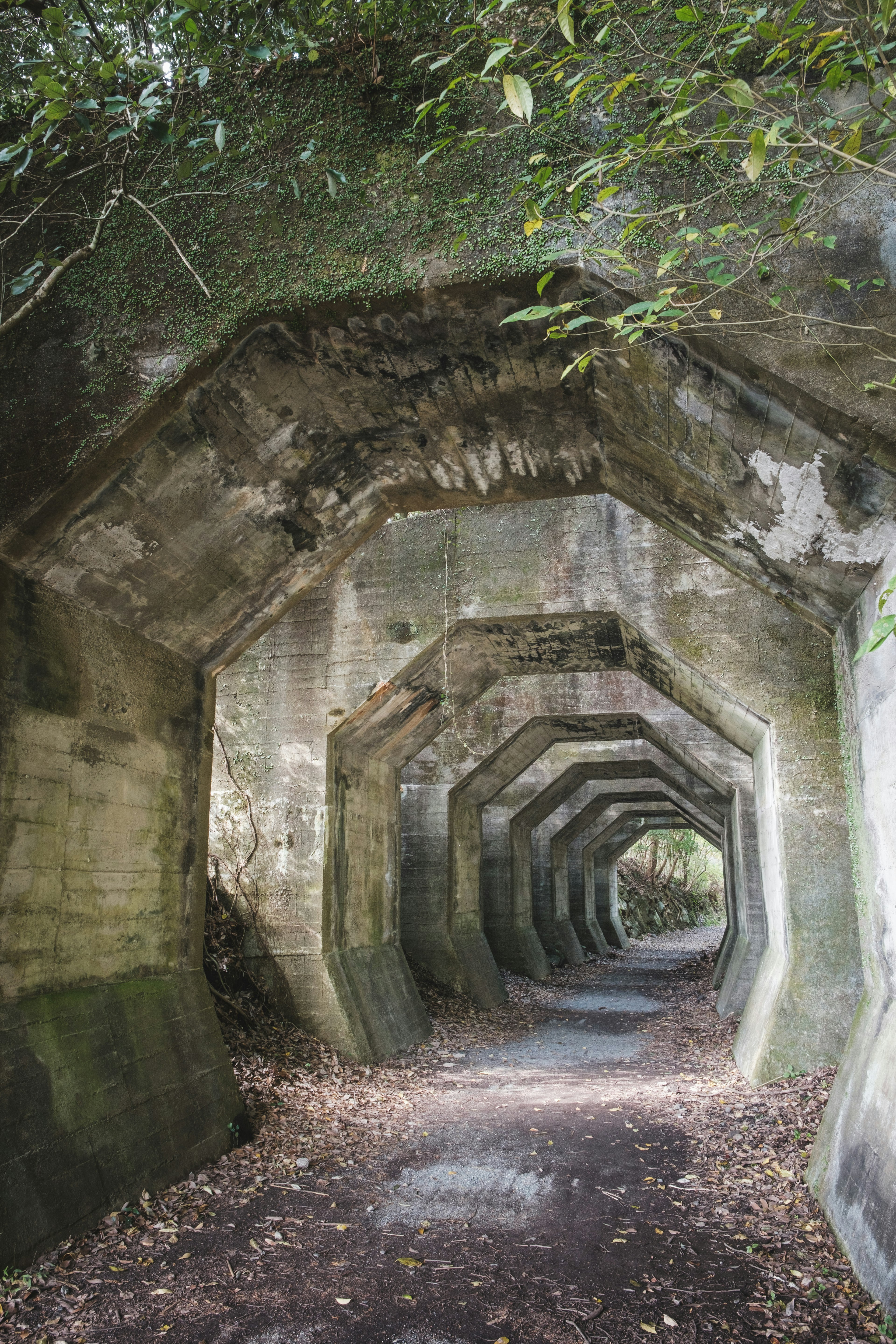 Vista interior de un túnel octagonal rodeado de vegetación