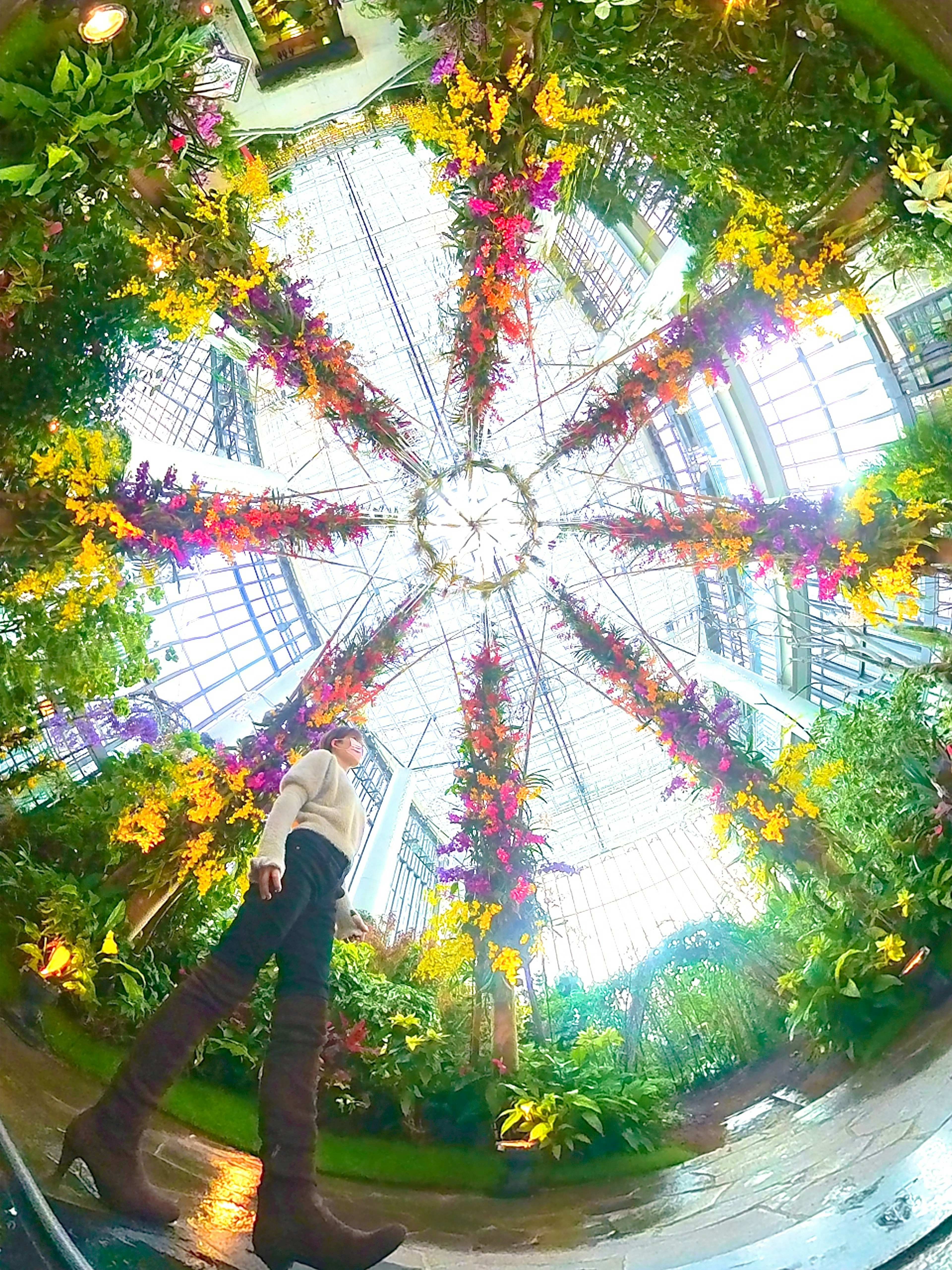 Interno di una serra adornata di bellissimi fiori e un grande soffitto in vetro