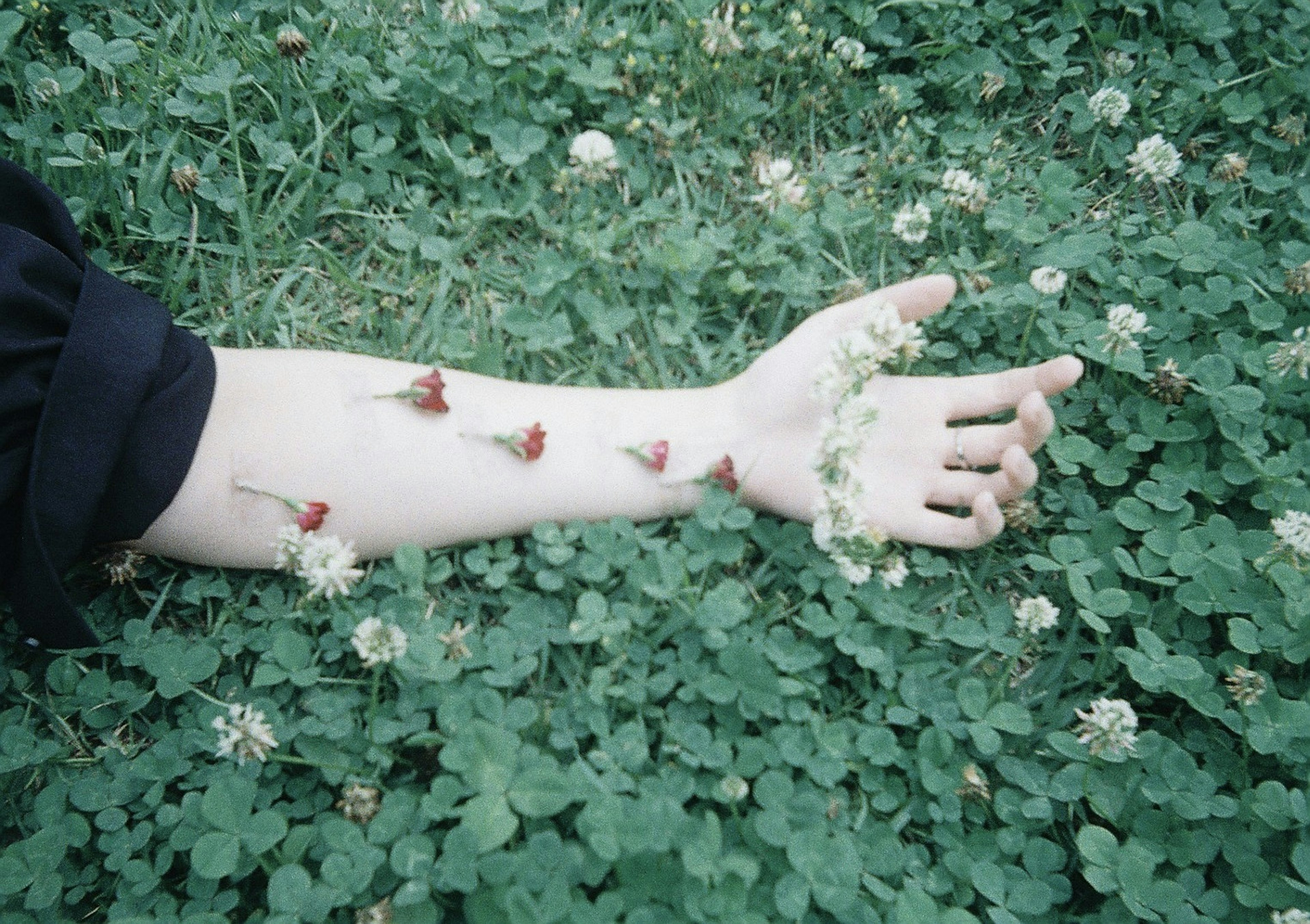 Une main reposant sur de l'herbe verte ornée de petites fleurs