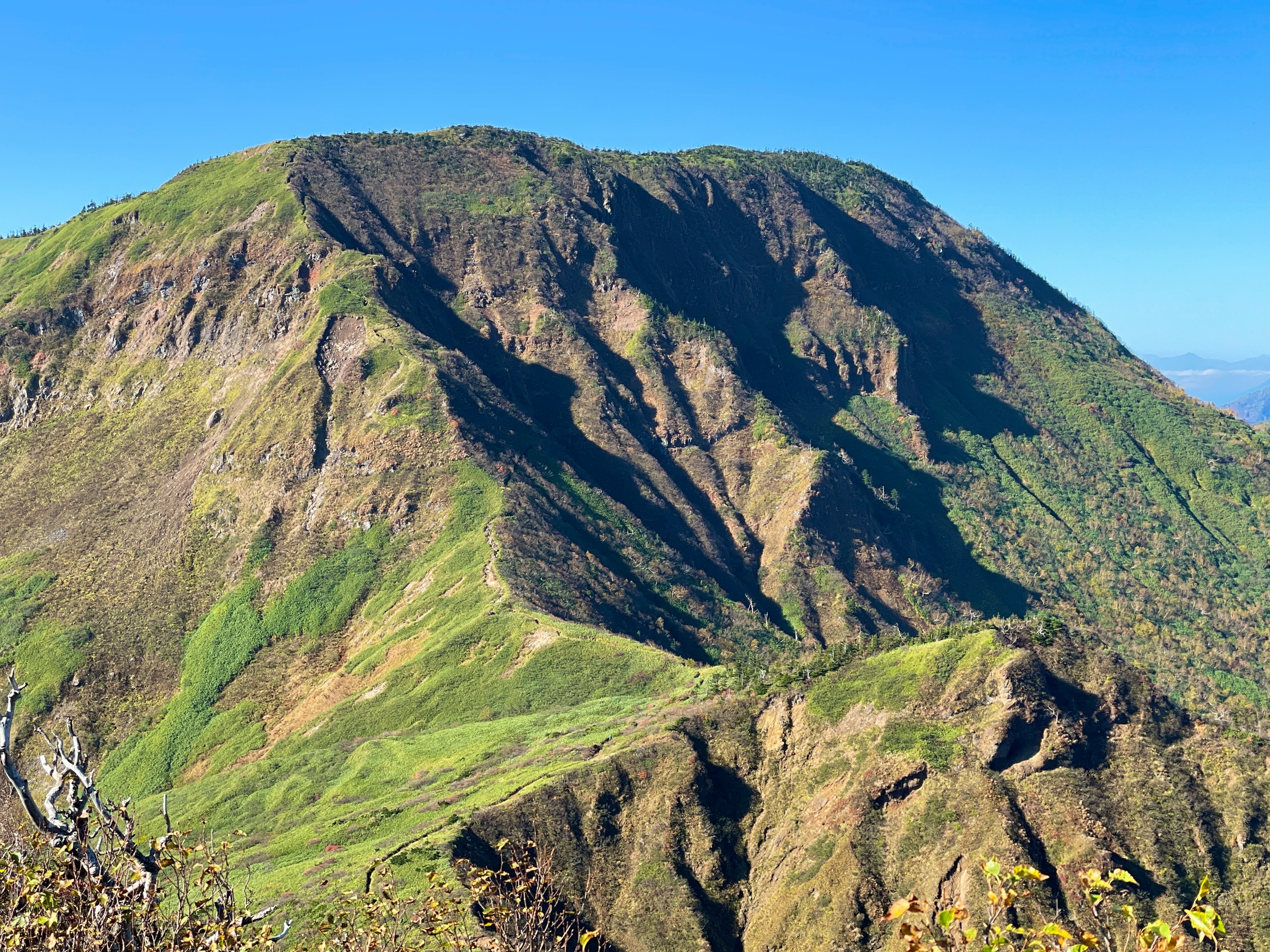 緑豊かな山の風景が広がる