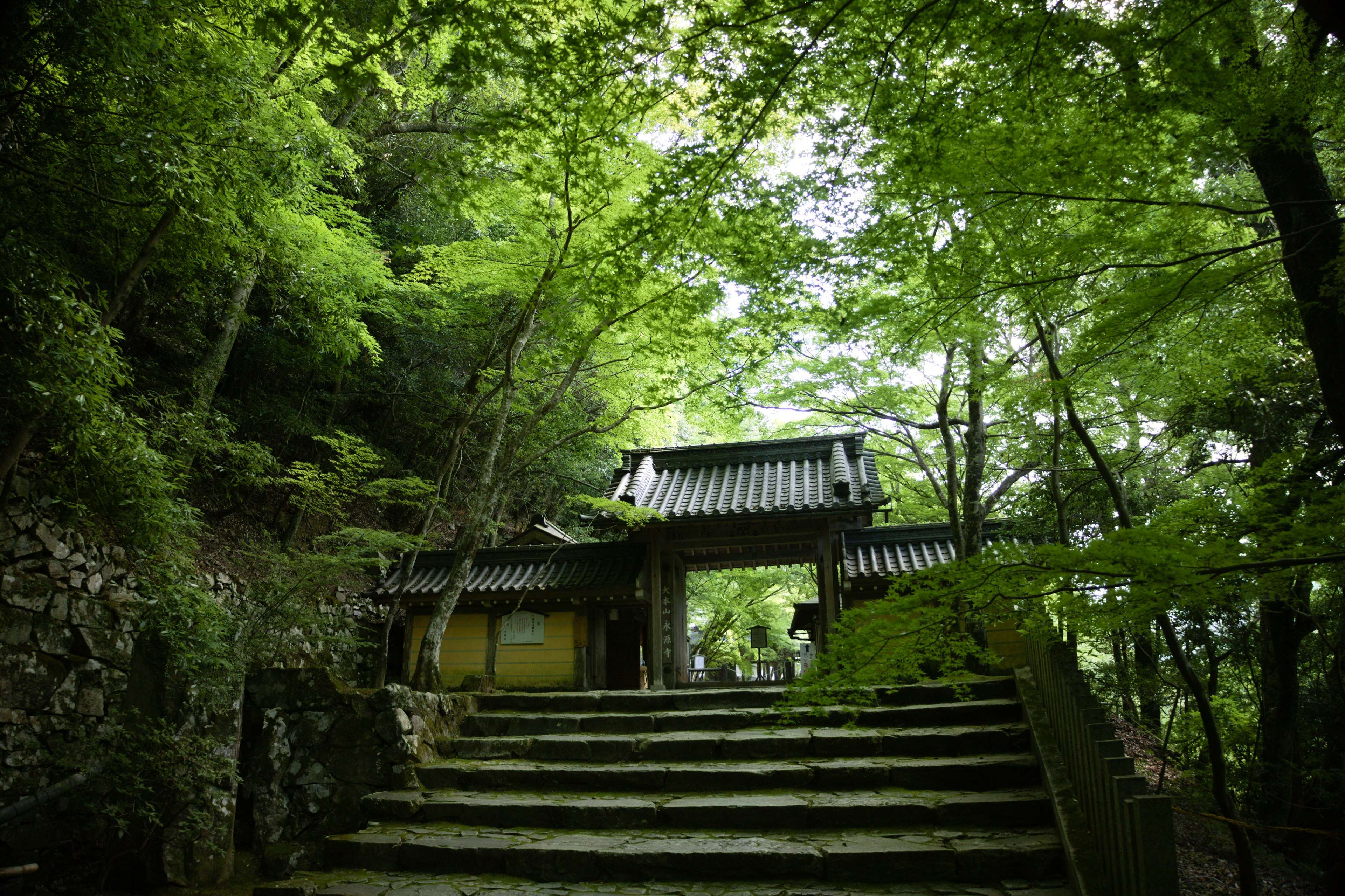 Stairs leading to a traditional building surrounded by lush green trees