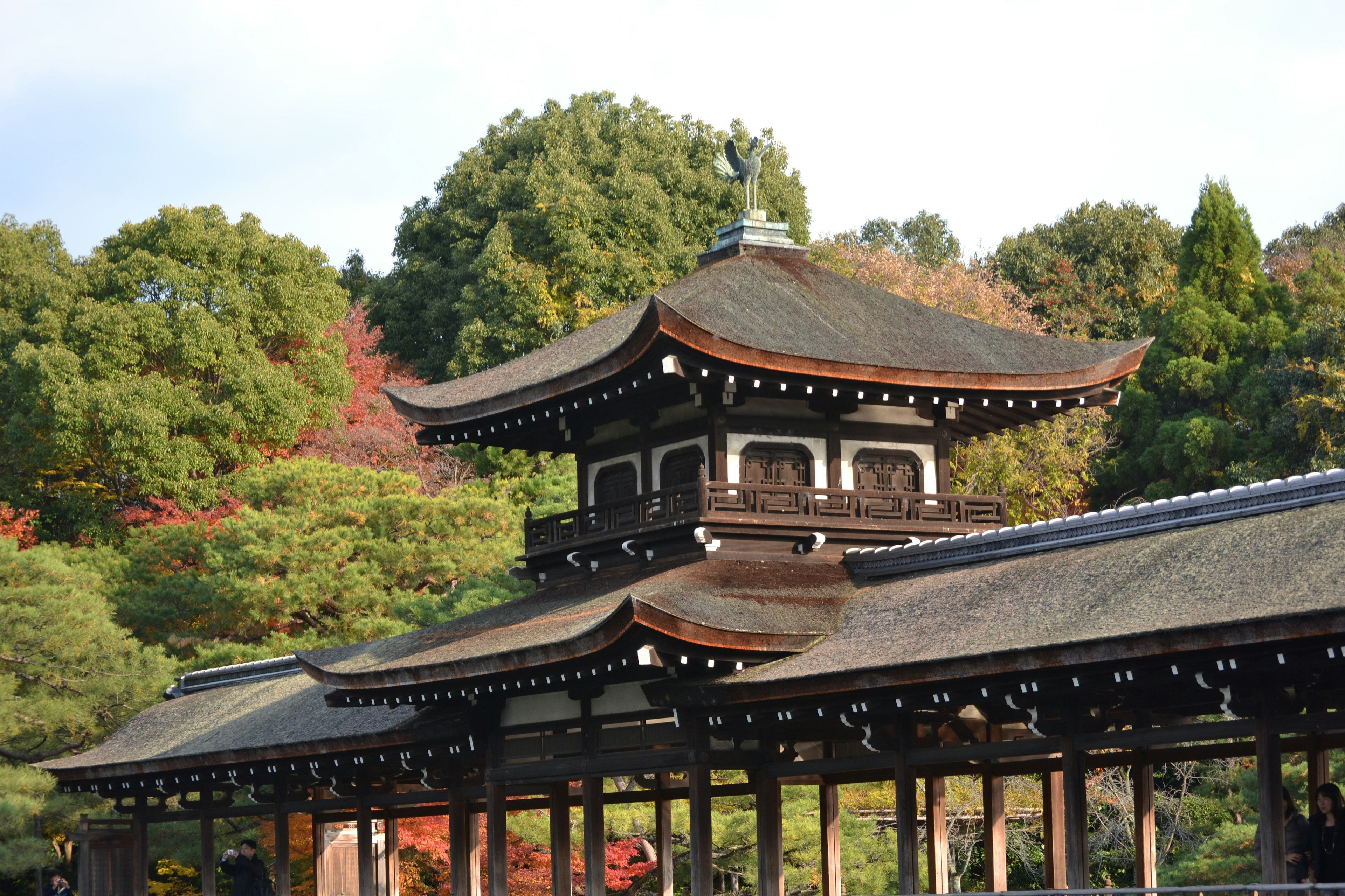 Vista escénica de arquitectura japonesa tradicional rodeada de árboles vibrantes