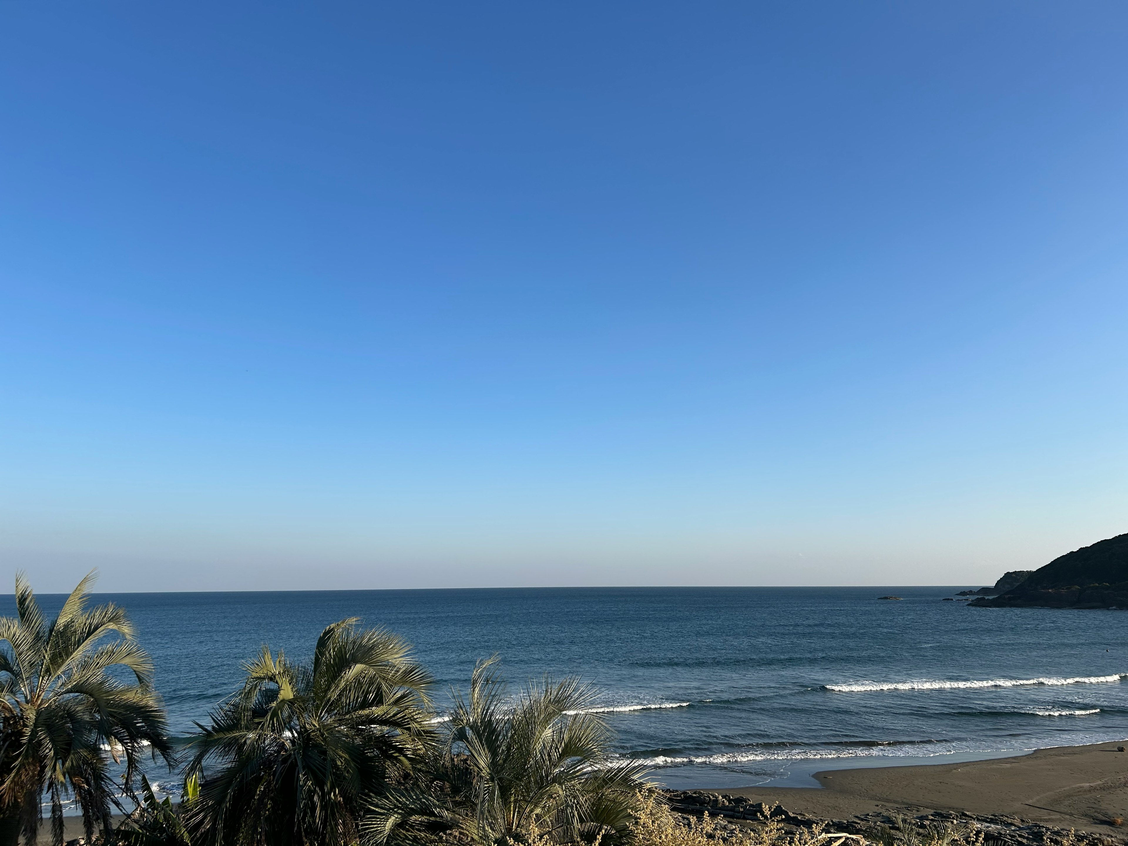 Vue pittoresque d'un ciel bleu clair et d'un océan calme avec des plantes tropicales au premier plan