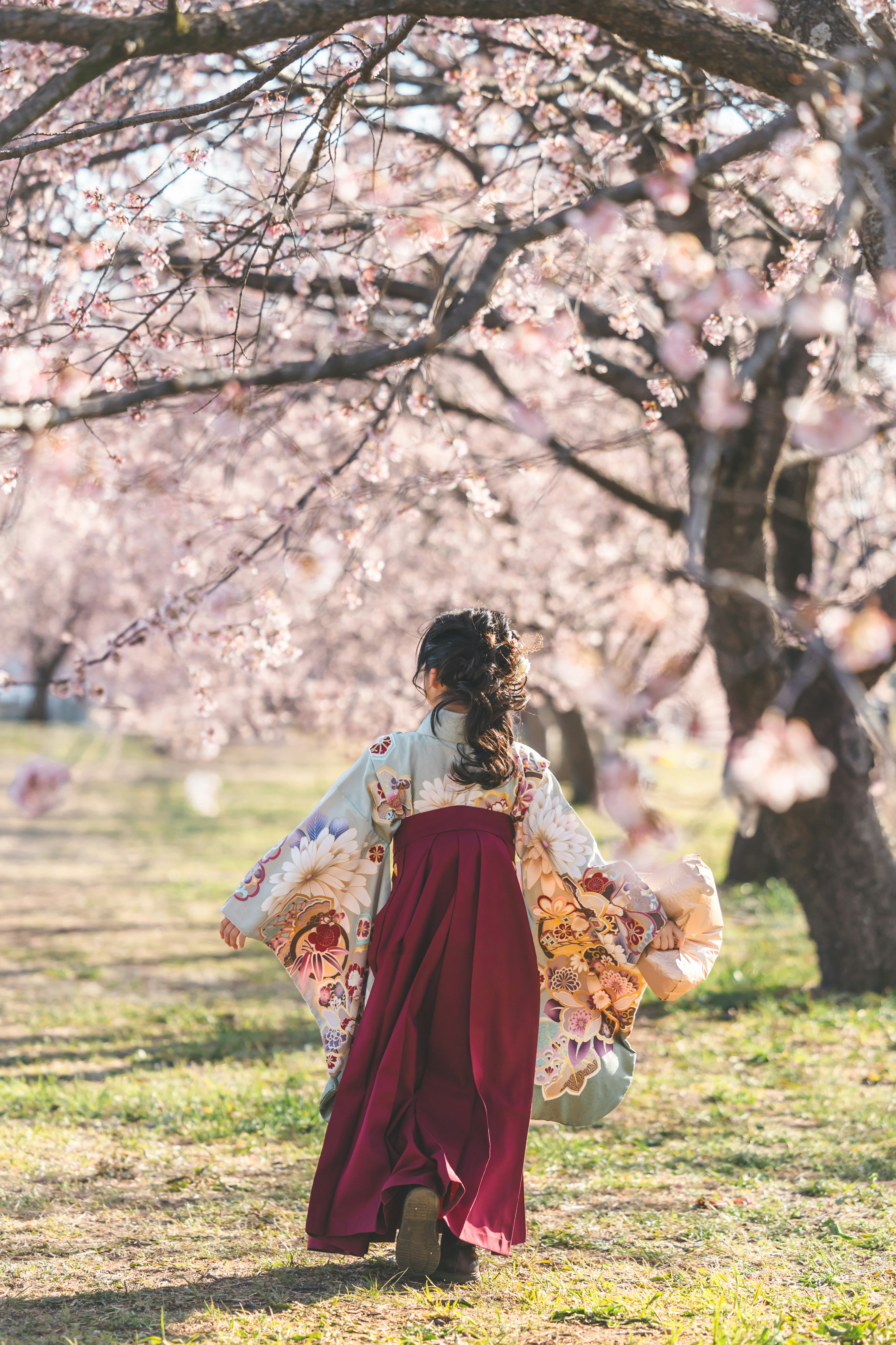 桜の木の下で振り返る女性の美しい姿