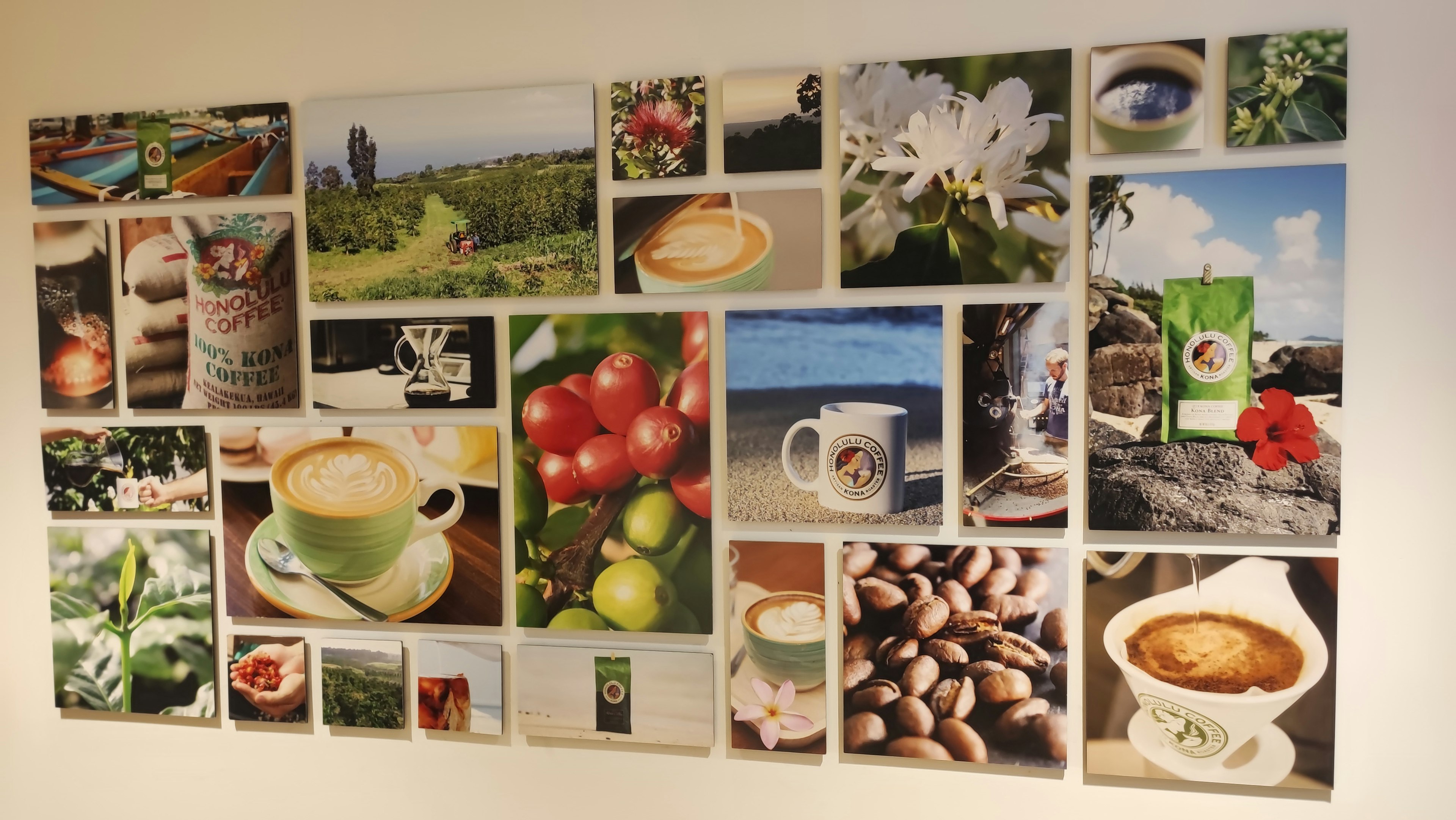 Collage of coffee and nature-themed photographs Various images of coffee and plants displayed on a wall