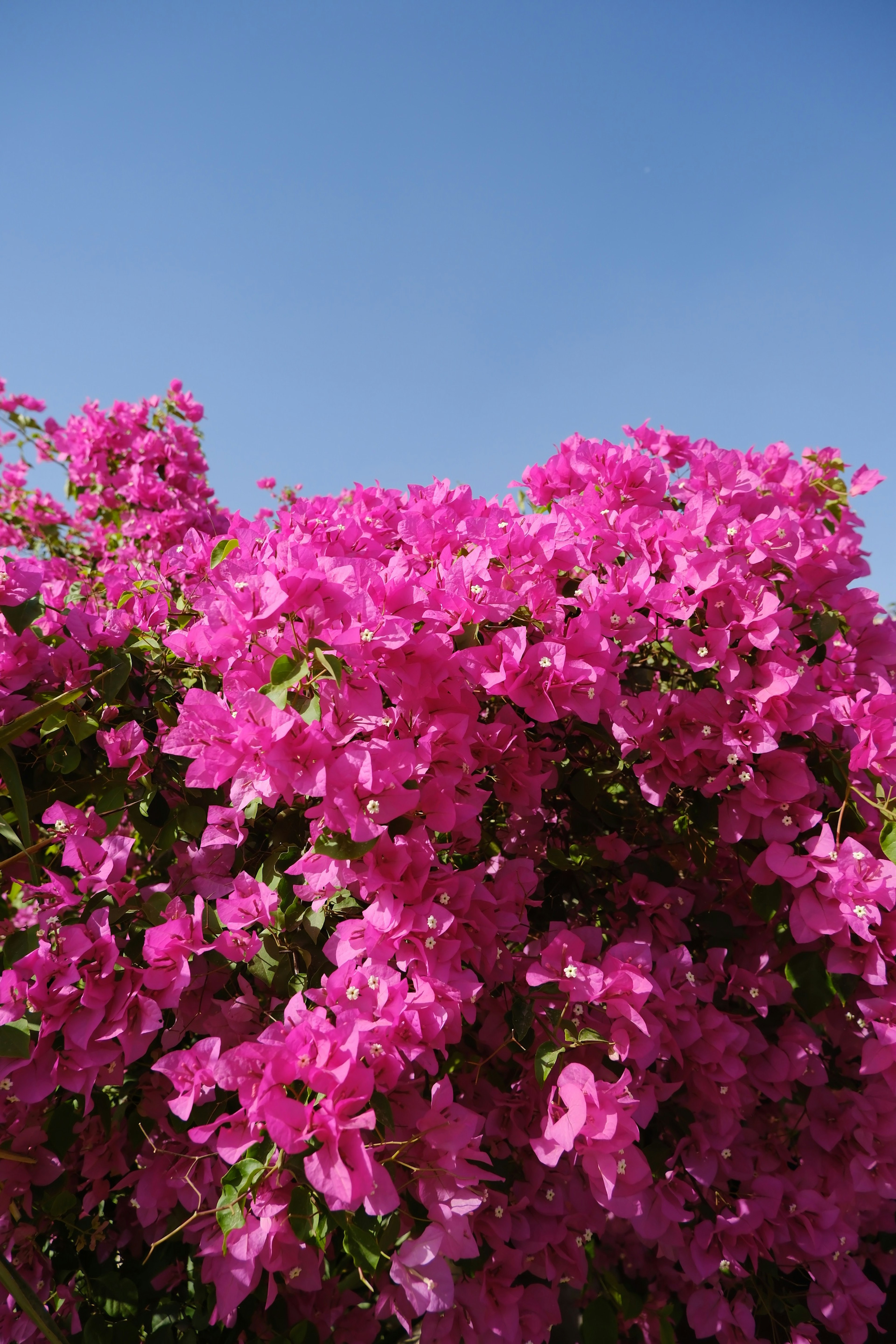 photo-OxYjufpzDX2iqf8sw6hs-image