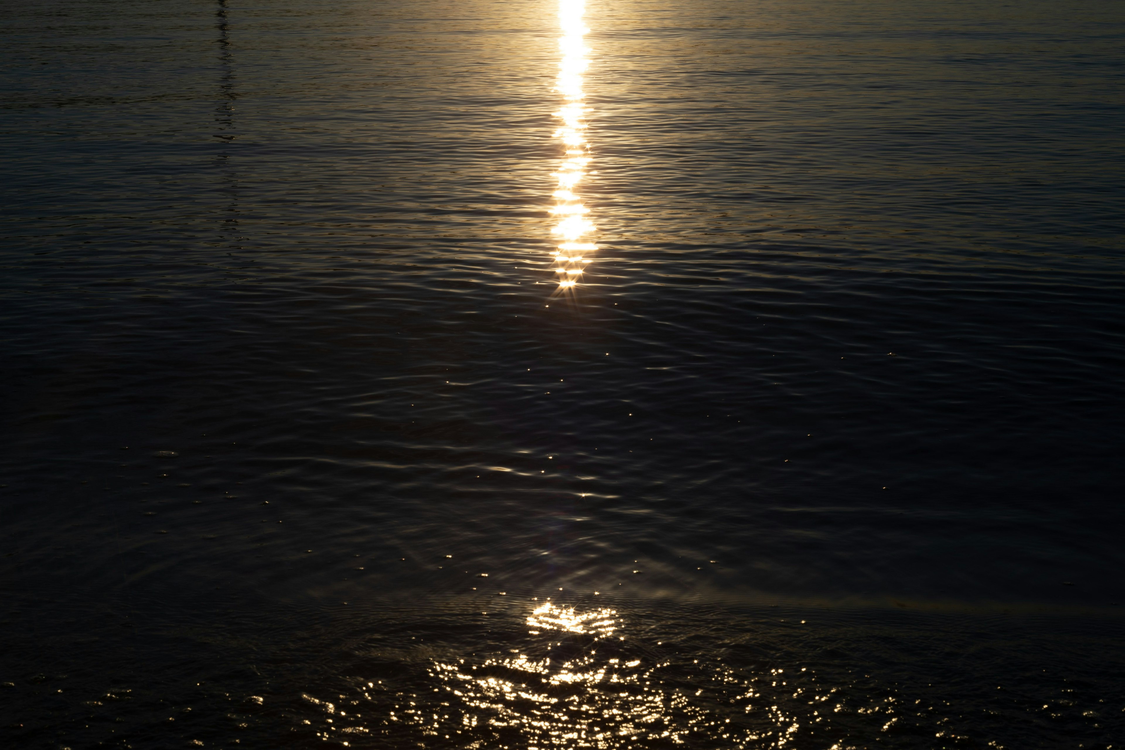 水面に映る夕日の光が美しい静かな風景