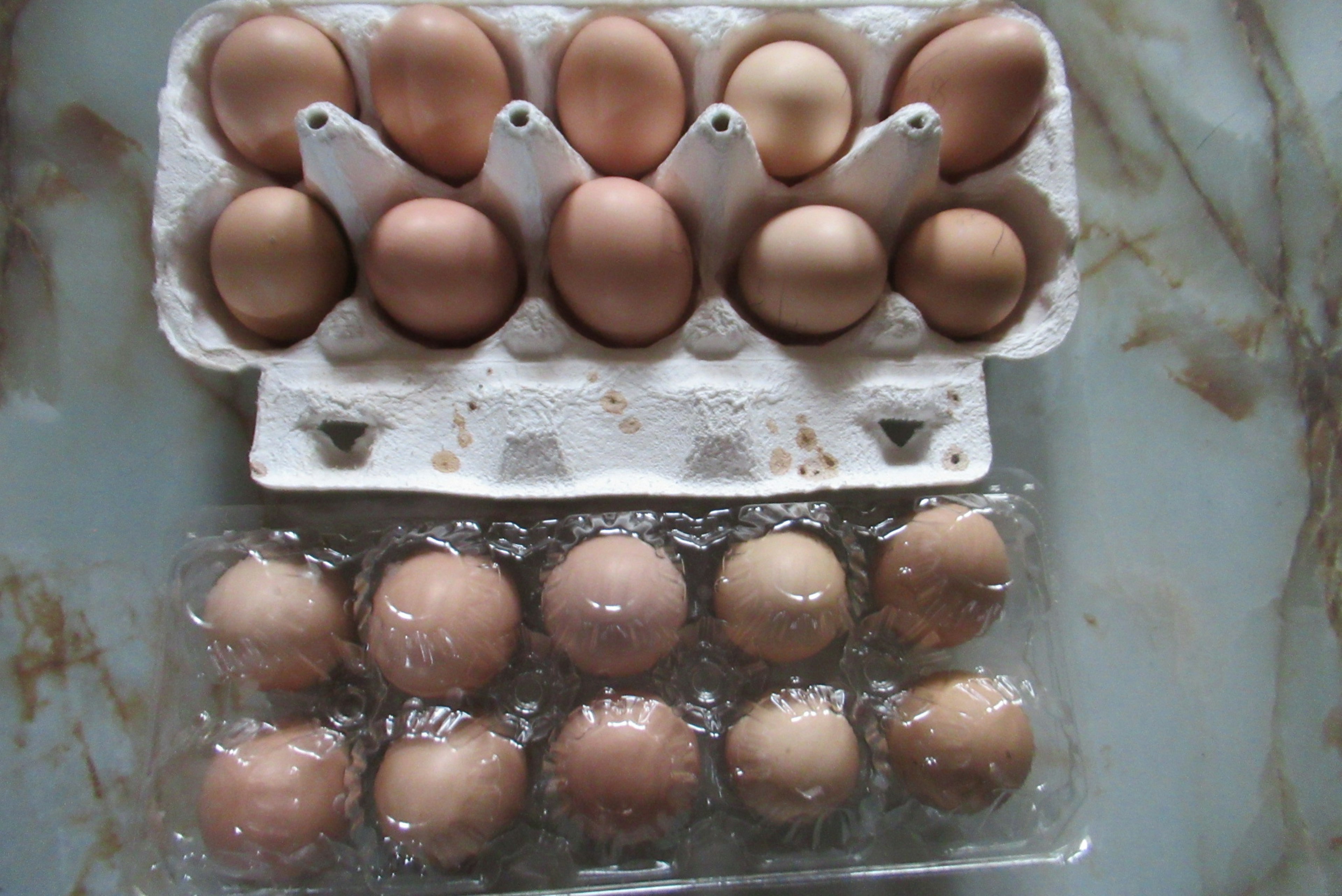 Two egg cartons side by side the top carton has eight eggs in a paper tray and the bottom carton has twelve eggs in a plastic tray