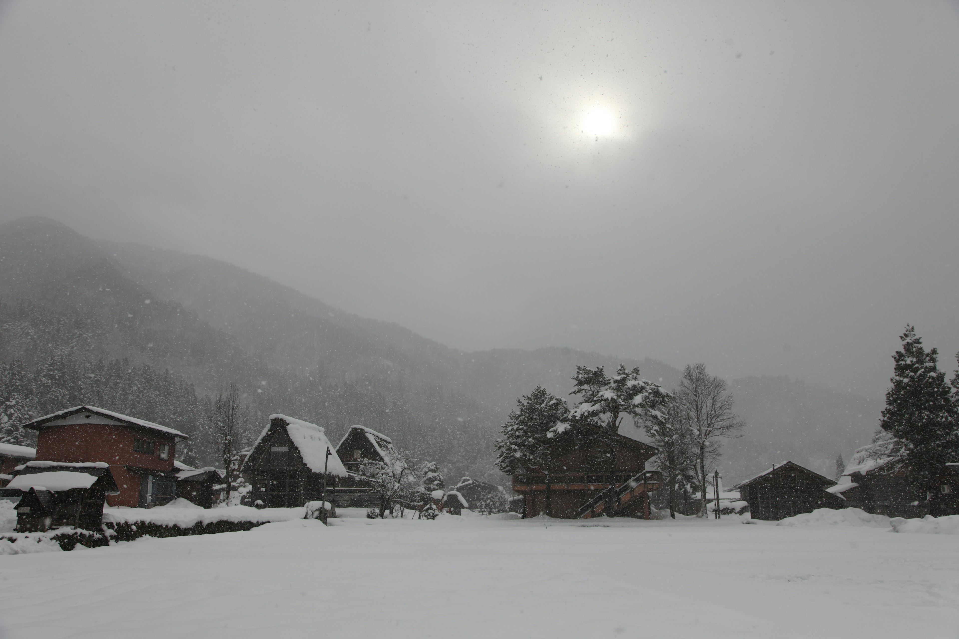 被雪覆蓋的村莊景觀和陰雲密布的天空