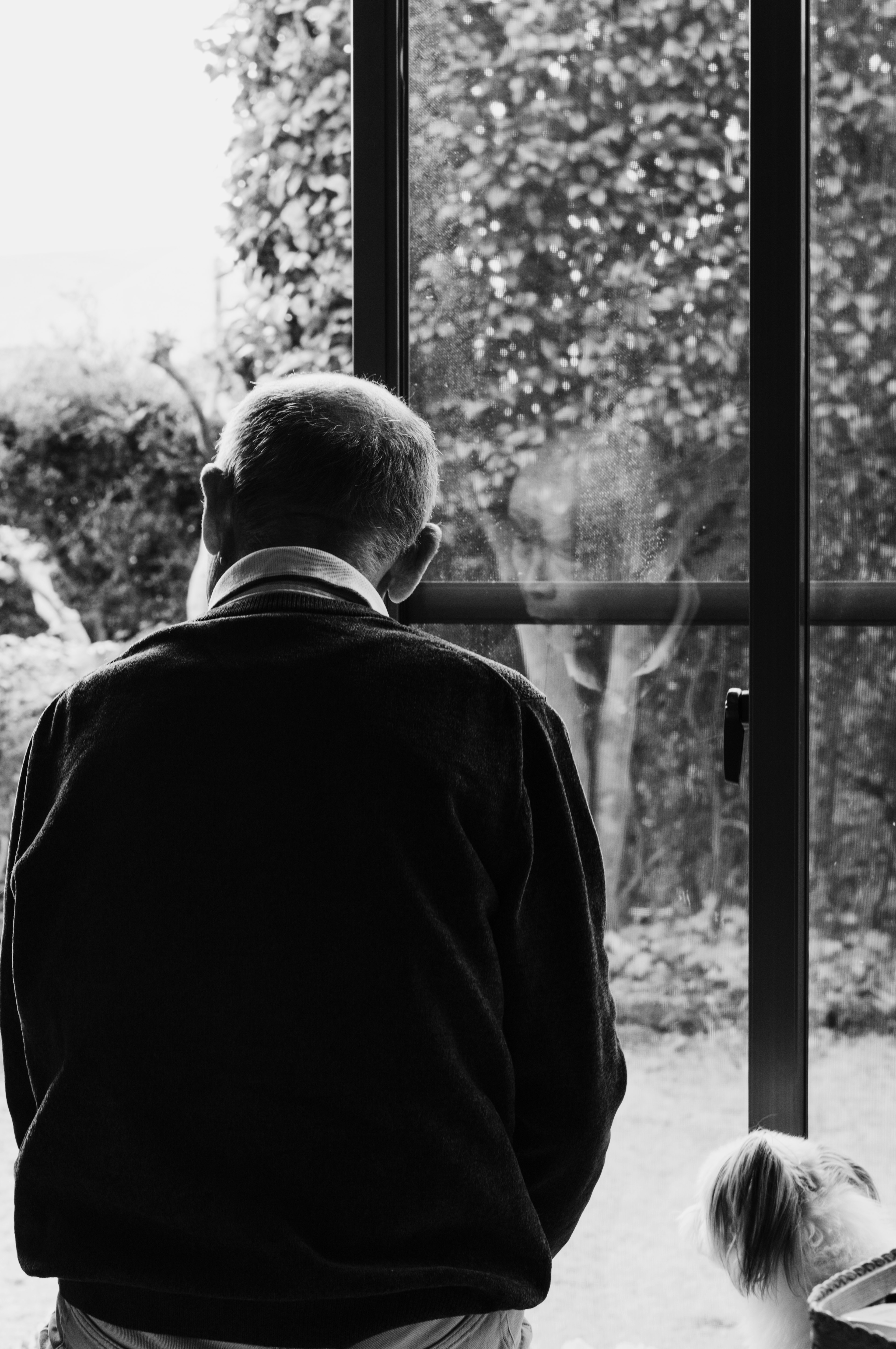 Schwarz-Weiß-Foto eines älteren Mannes und eines Hundes am Fenster