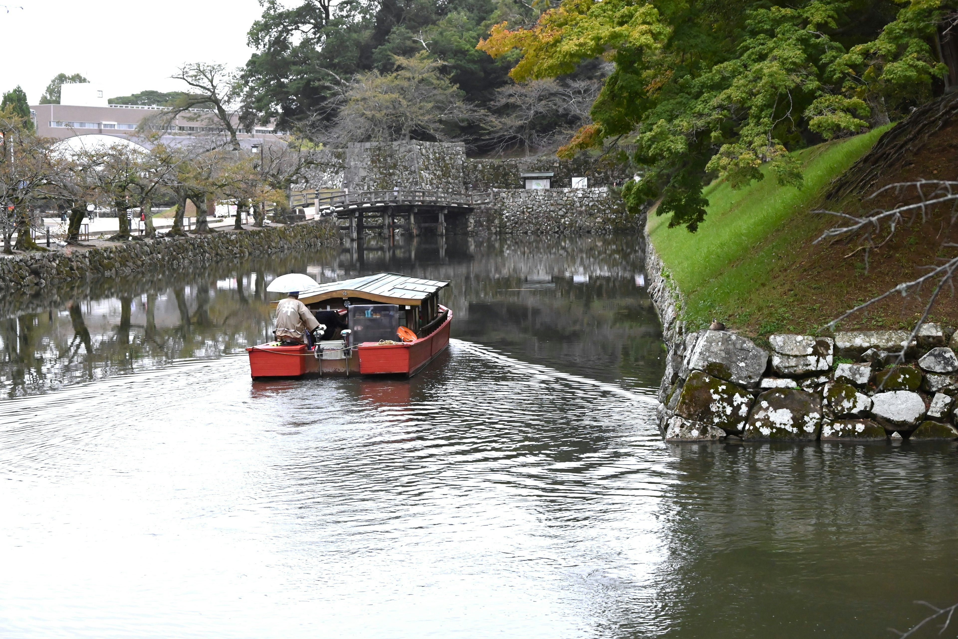 Rotes Boot gleitet auf einem ruhigen Fluss, umgeben von Bäumen