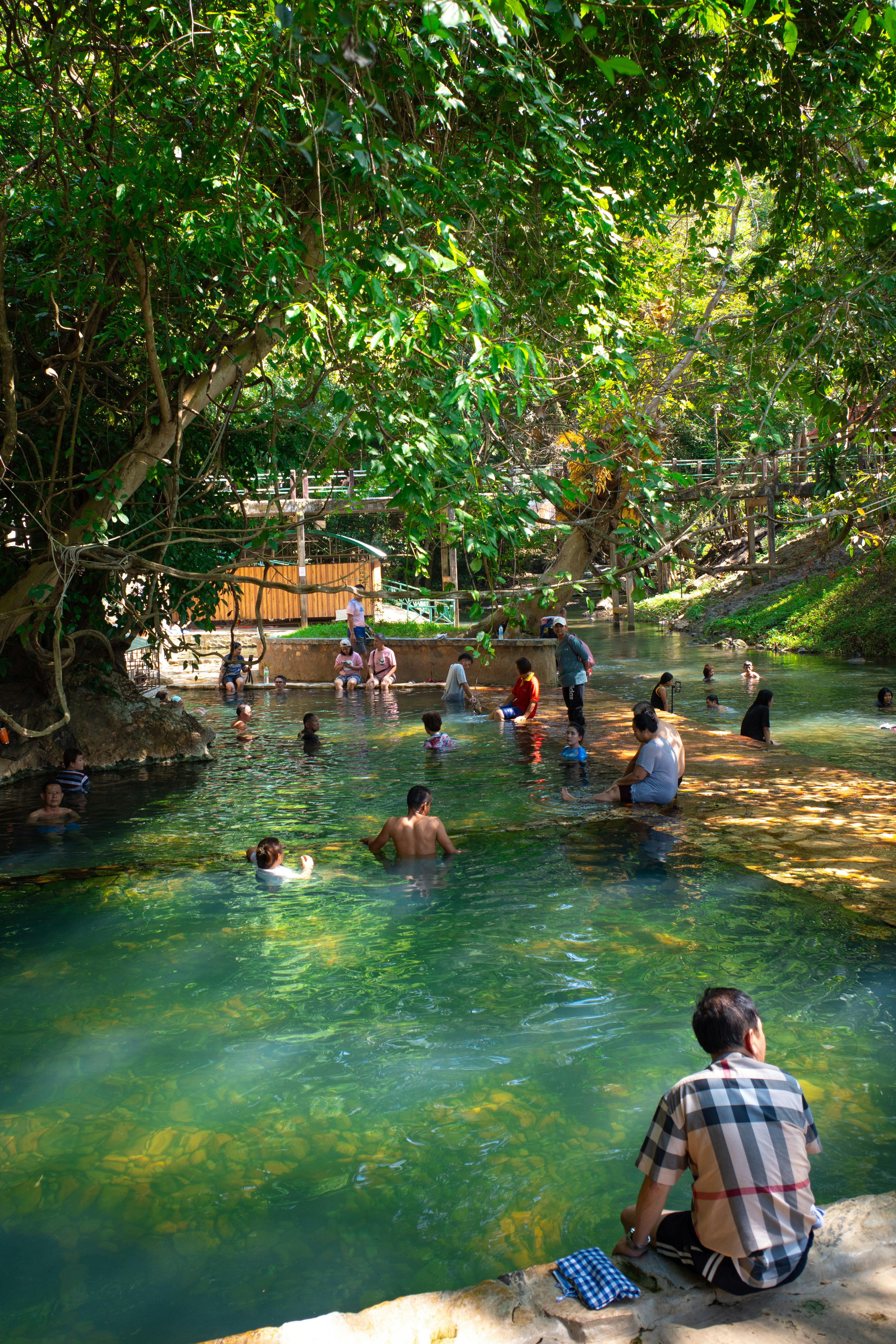 Scena lussureggiante di persone che si godono un'area acquatica naturale