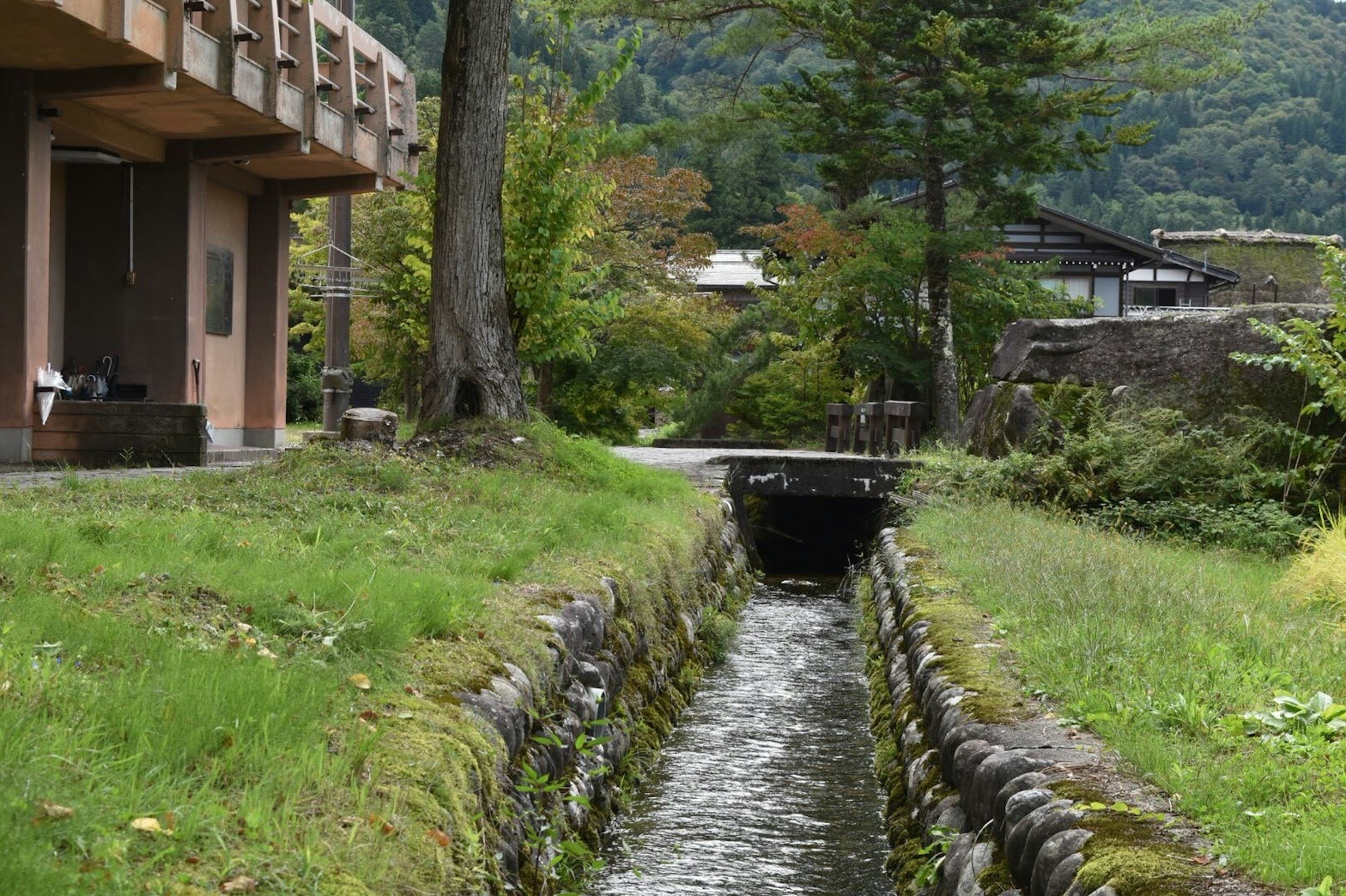 Scène de campagne tranquille avec un ruisseau et de l'herbe verte